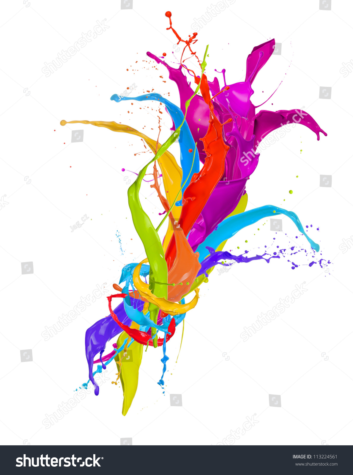 Colored Paint Splashes Bouquet Isolated On Stock Photo 113224561 ...