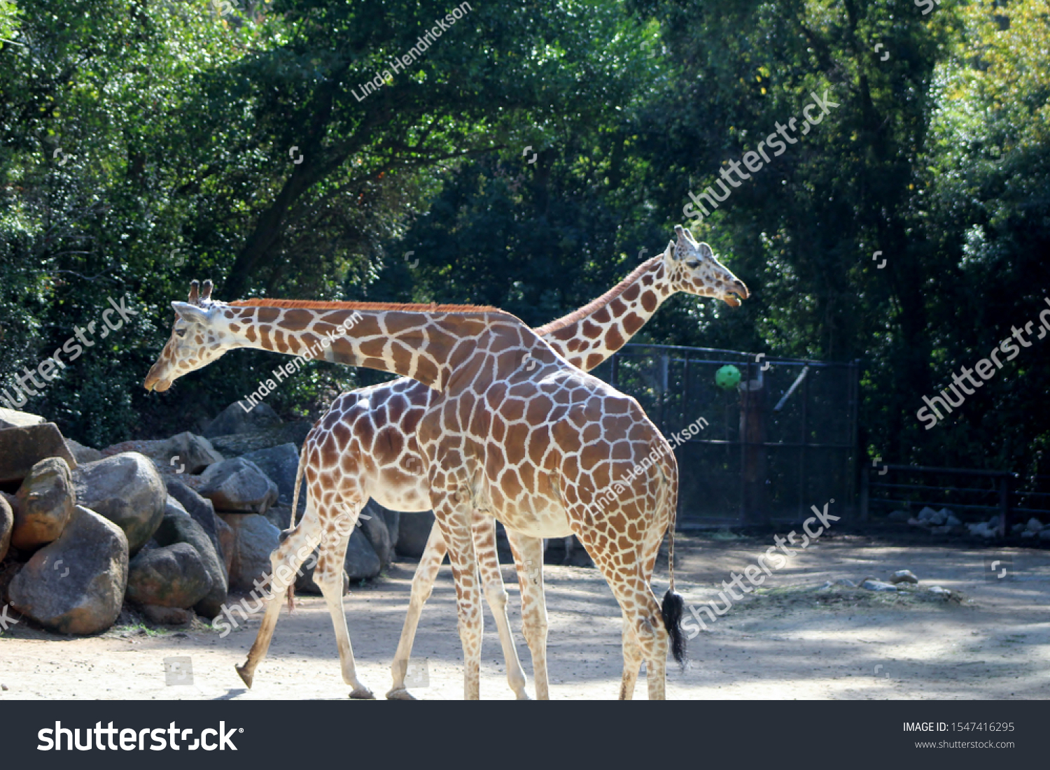 columbia zoo sc hours