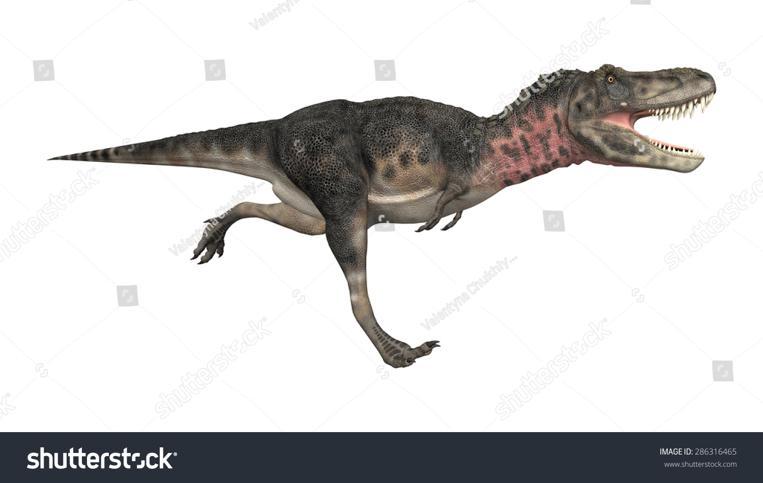 3d Digital Render Dinosaur Tarbosaurus Running Stock Illustration ...