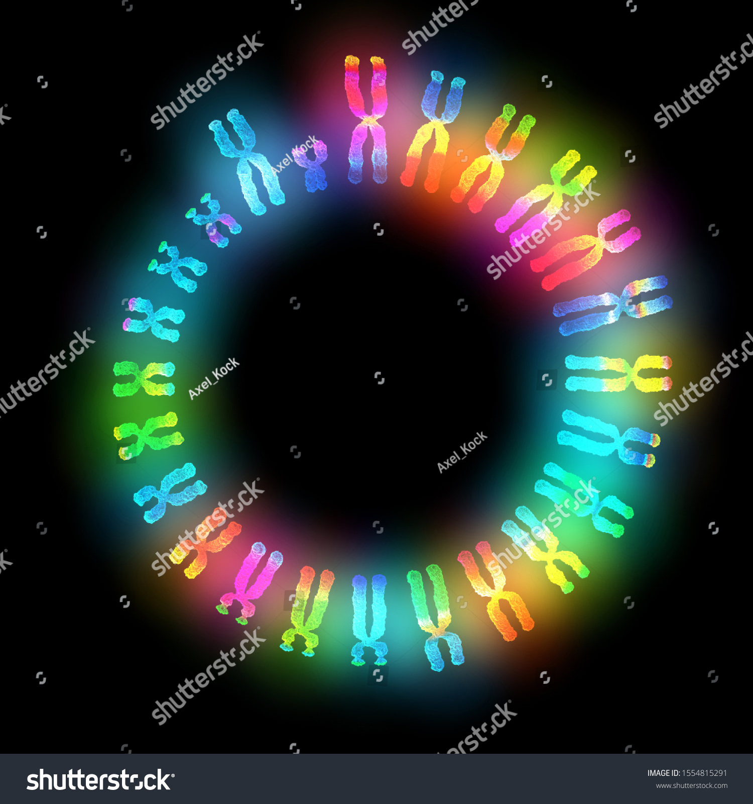 D Ikkustration Showing Male Chromosome Set Shutterstock