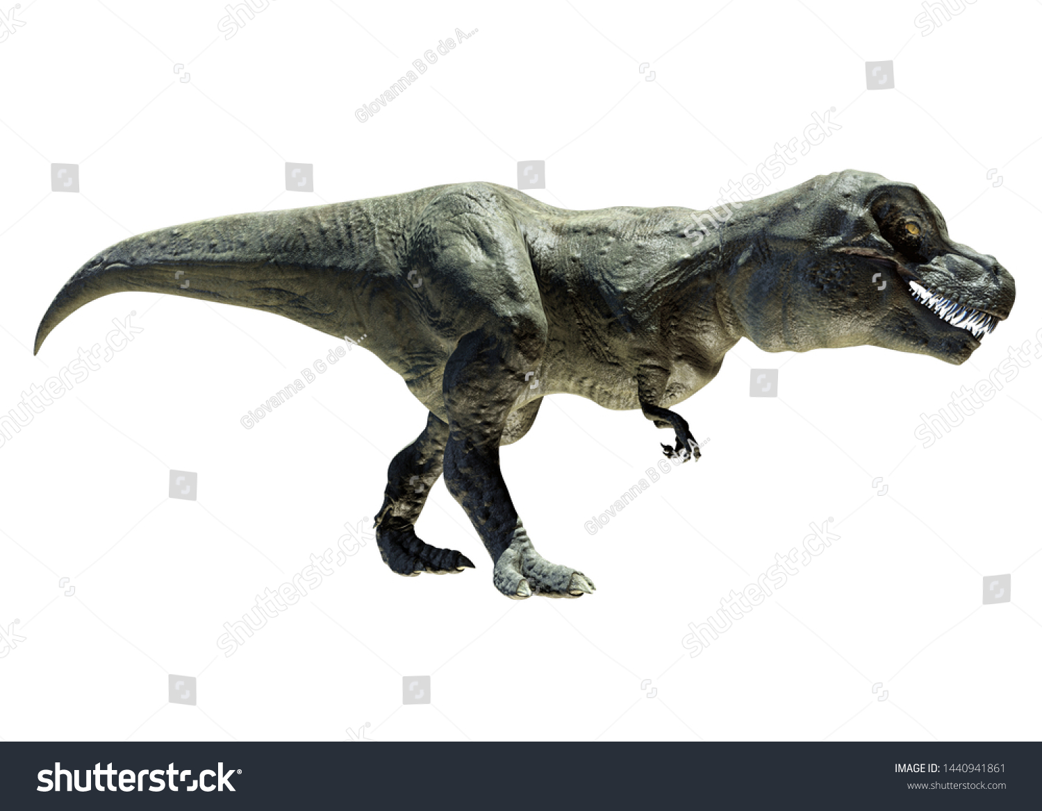 t rex dinosaur view in 3d