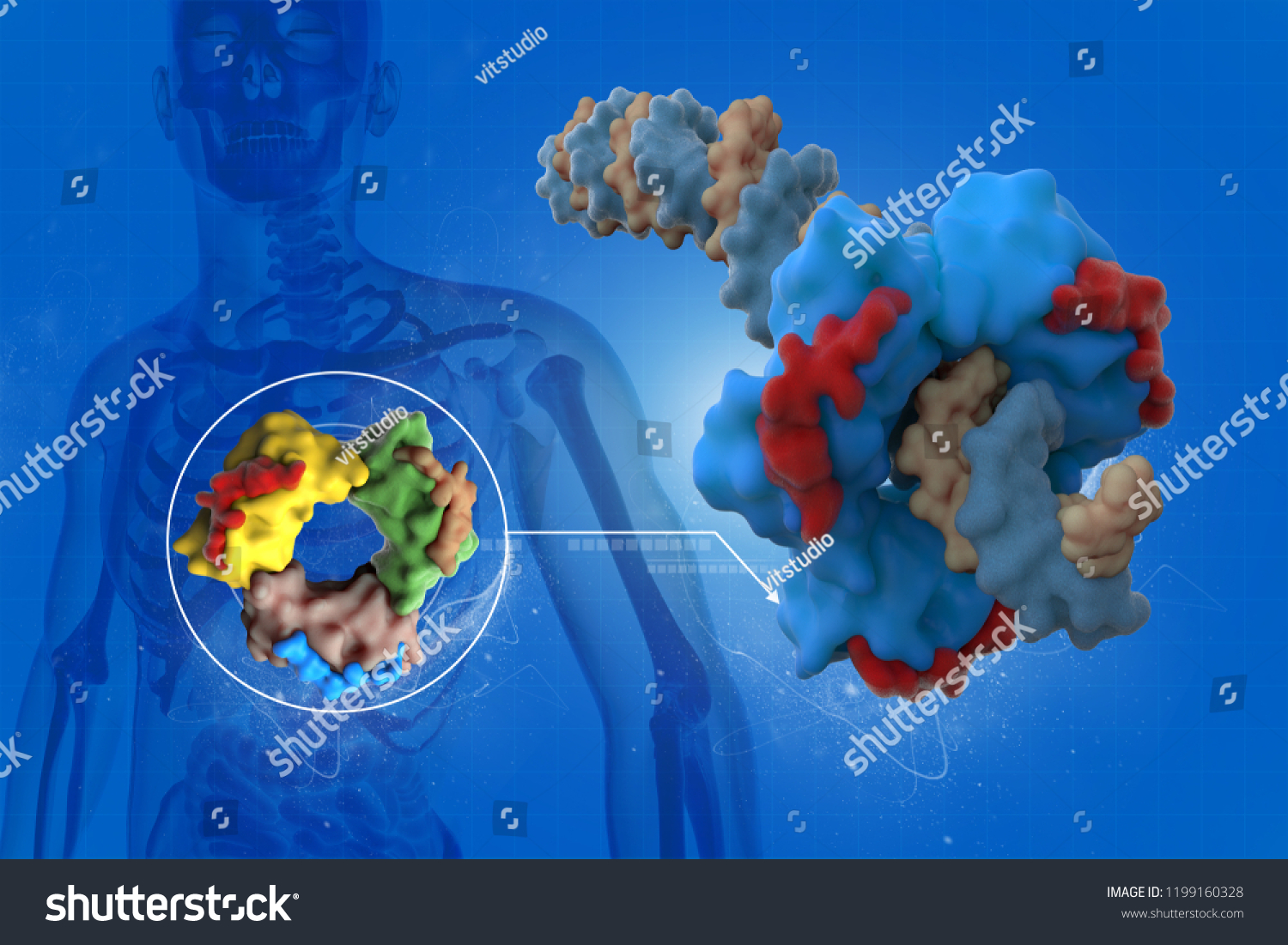 3d Illustration Dna Polymerase Crystal Structure 스톡 일러스트 1199160328 Shutterstock 9424