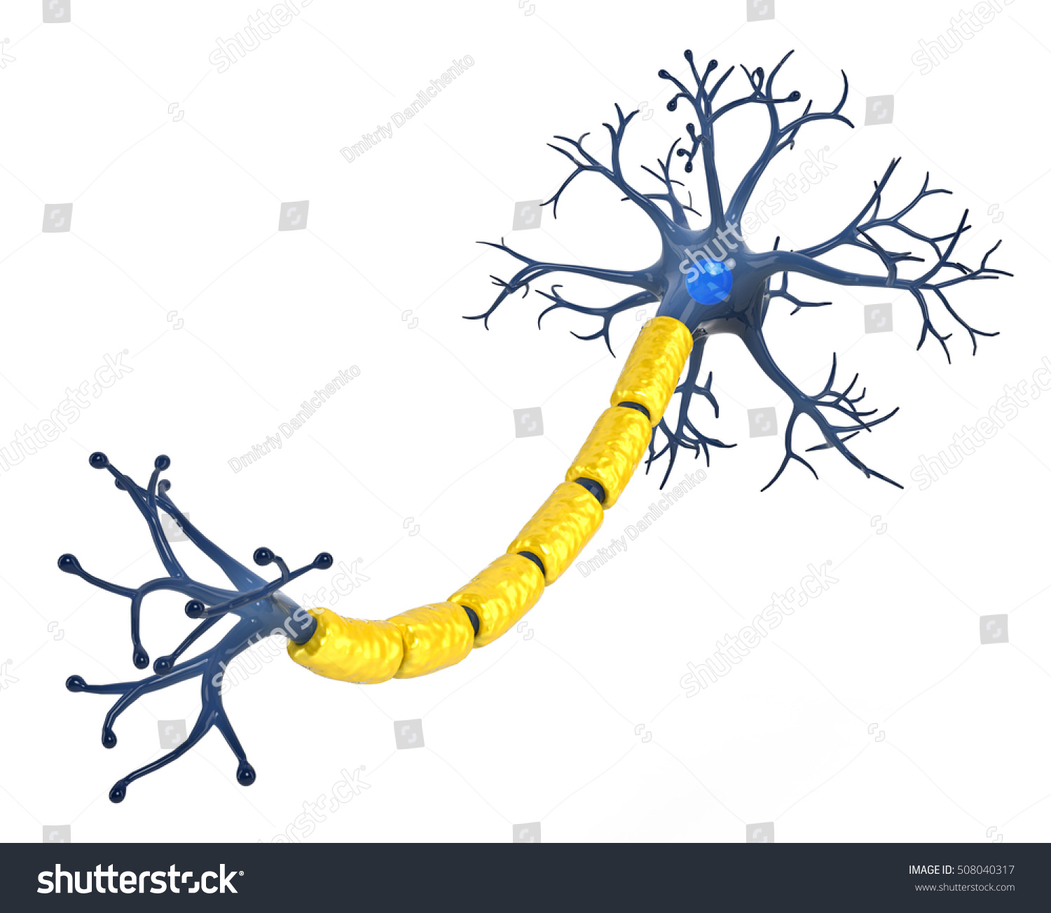 3d Illustration Neuron Stock Illustration 508040317