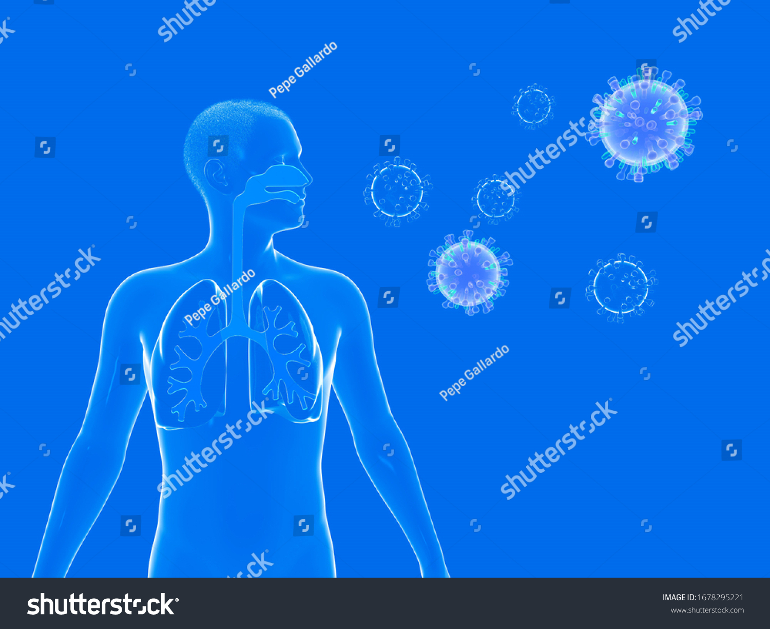3d Illustration Anatomy Respiratory System Man Stock Illustration ...