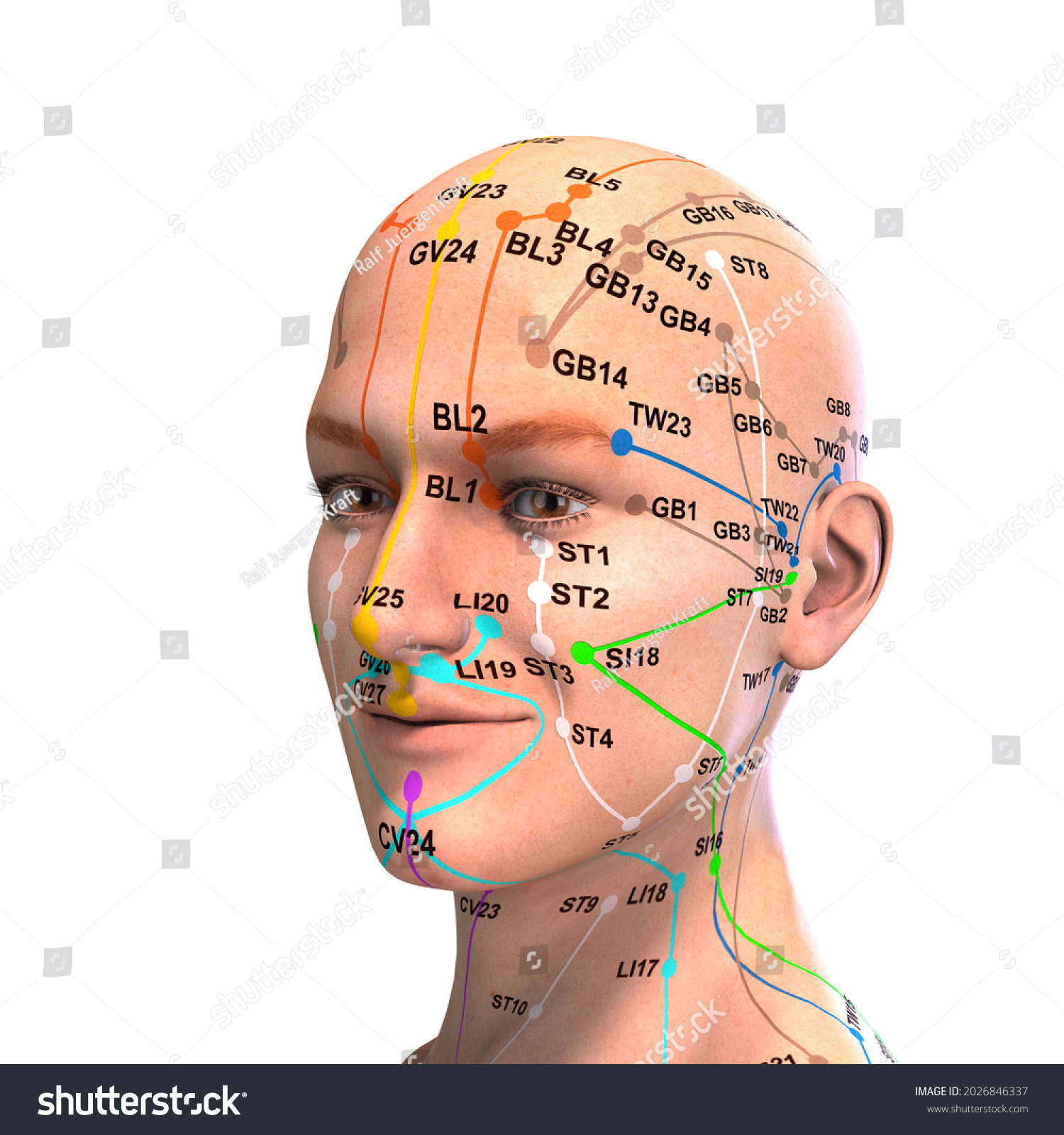 3dillustration Eastern Asian Acupuncture Acupressure Points Hình Minh Họa Có Sẵn 2026846337 6021