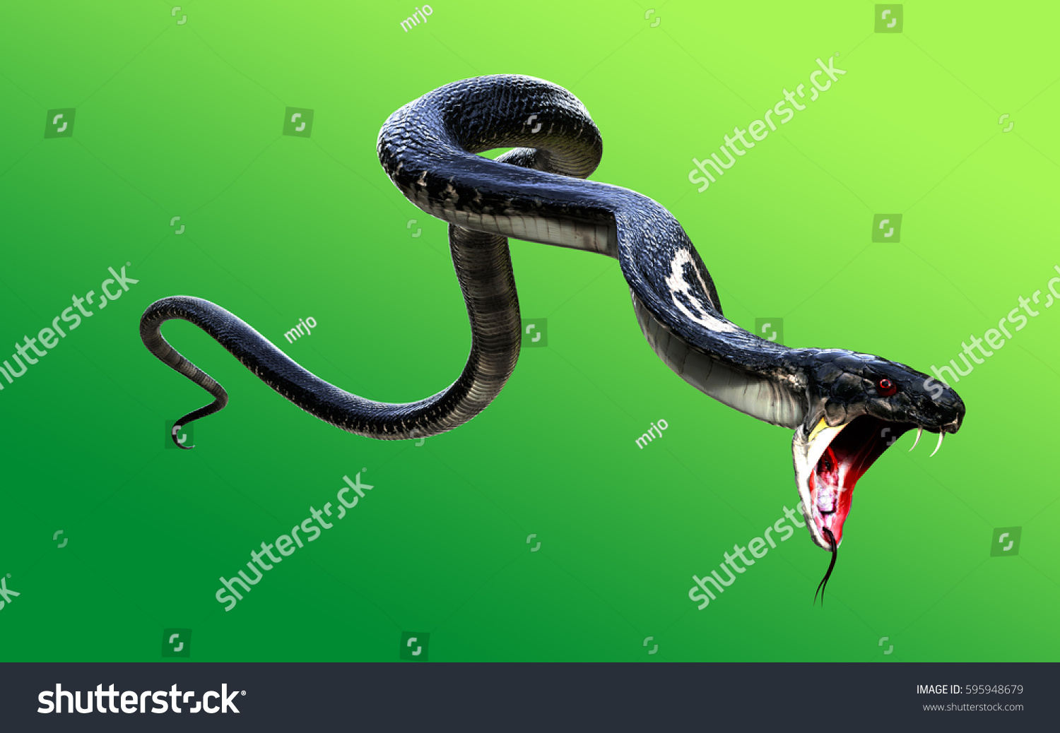 3d Illustration King Cobra Worlds Longest Stock Illustration 595948679