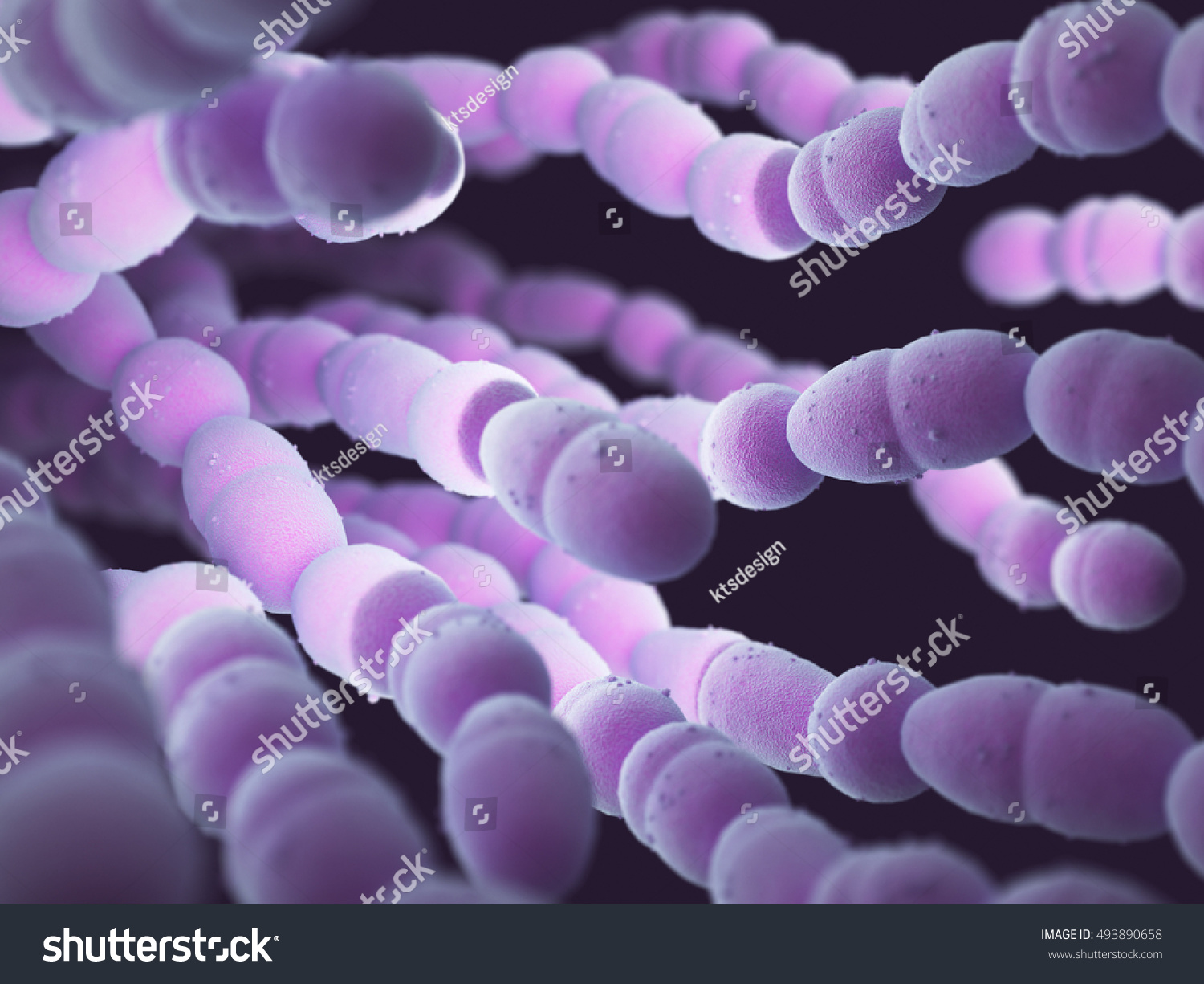 3d Illustration Streptococcus Pneumoniae Pneumococcus That Stock ...