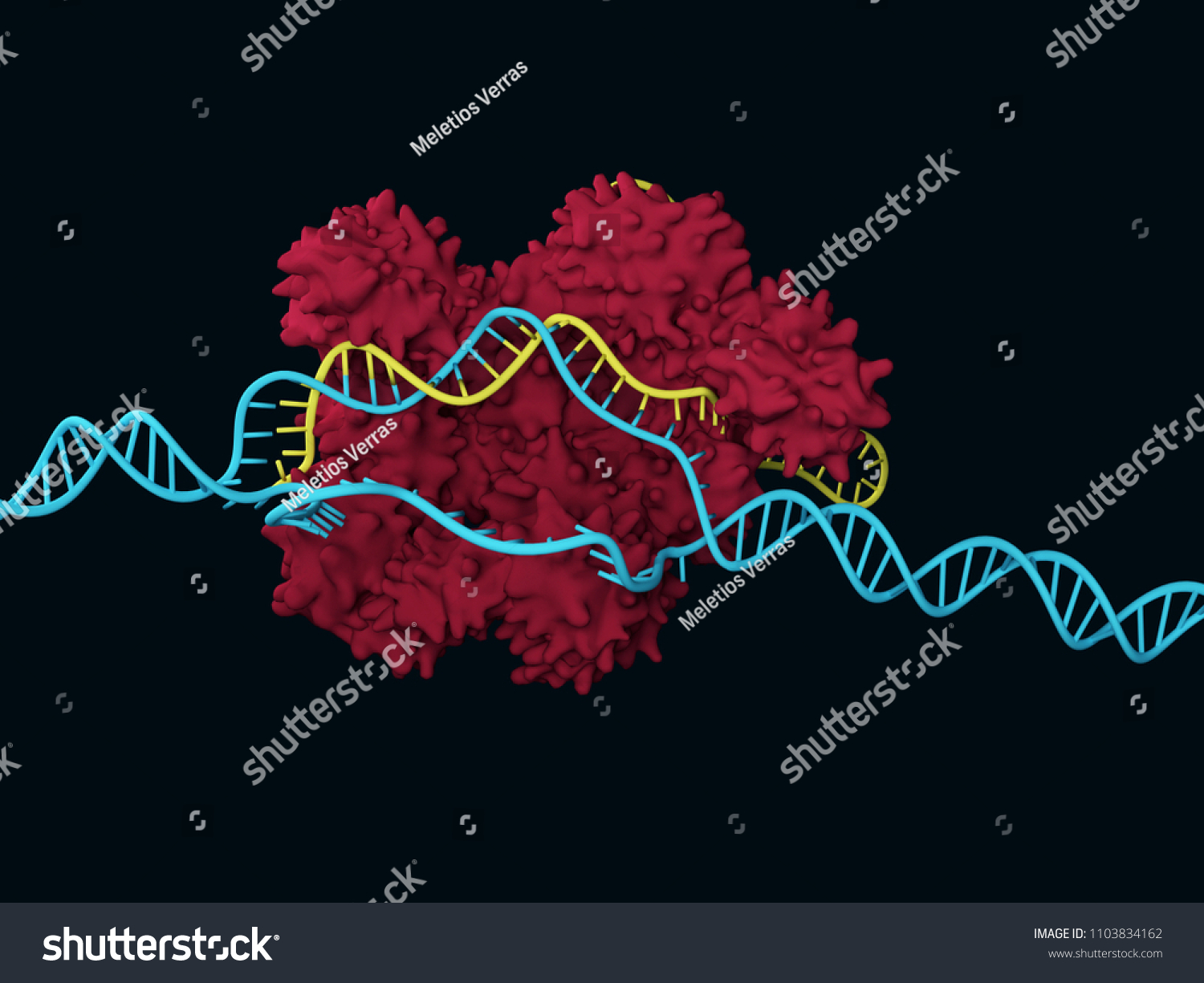 3d Illustration Crisprcas9 Genome Editing System Stock Illustration 1103834162 2751