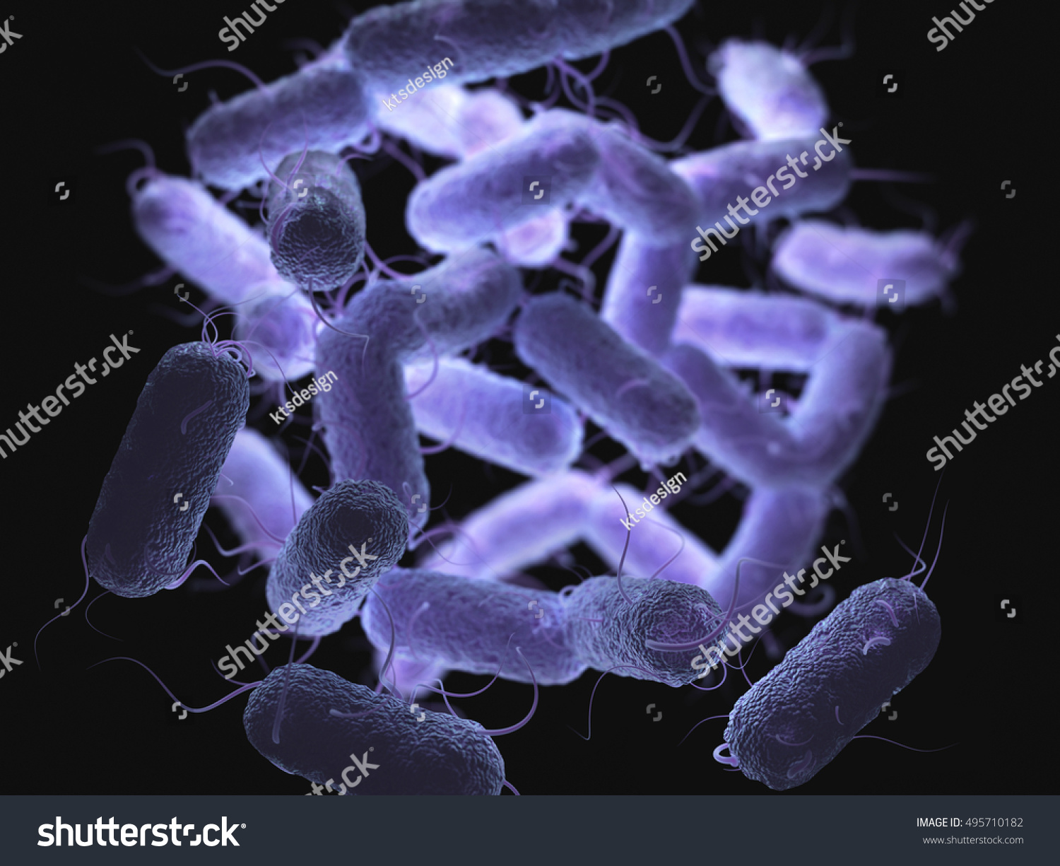 3d Illustration Enterobacteriaceae That Large Family Stock Illustration ...