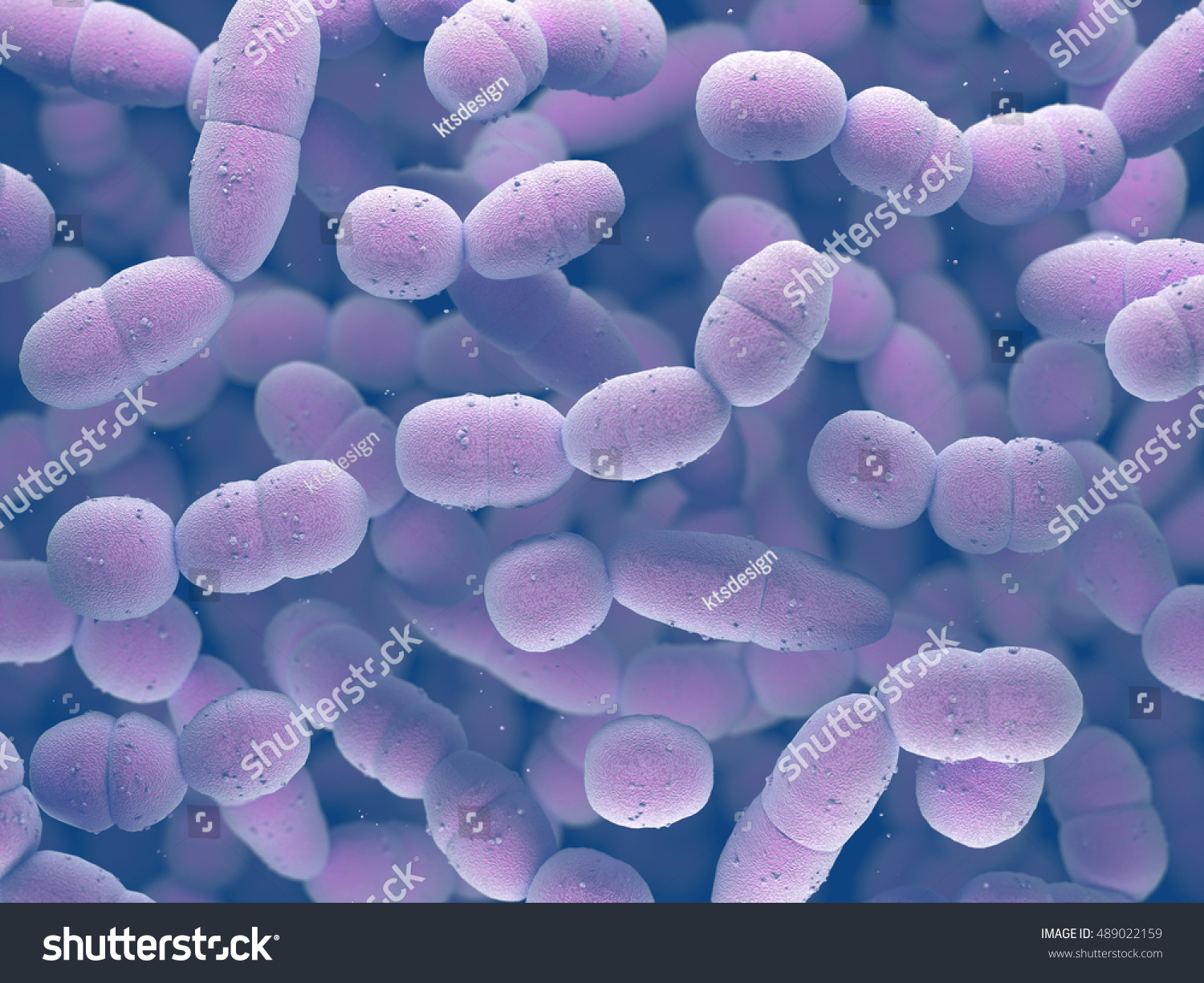 3d Illustration Streptococcus Pneumoniae Pneumococcus Grampositive