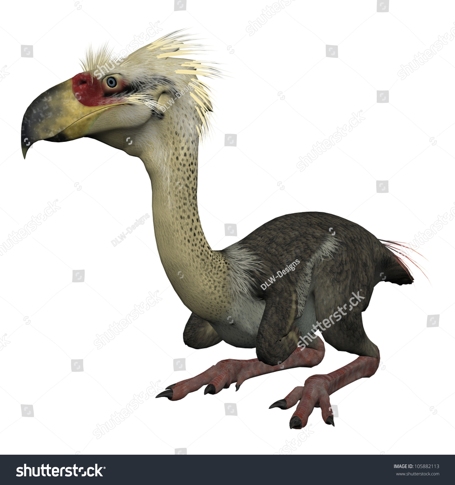 3d Isolated Prehistoric Bird - Phorusrhacos Stock Photo 105882113 ...