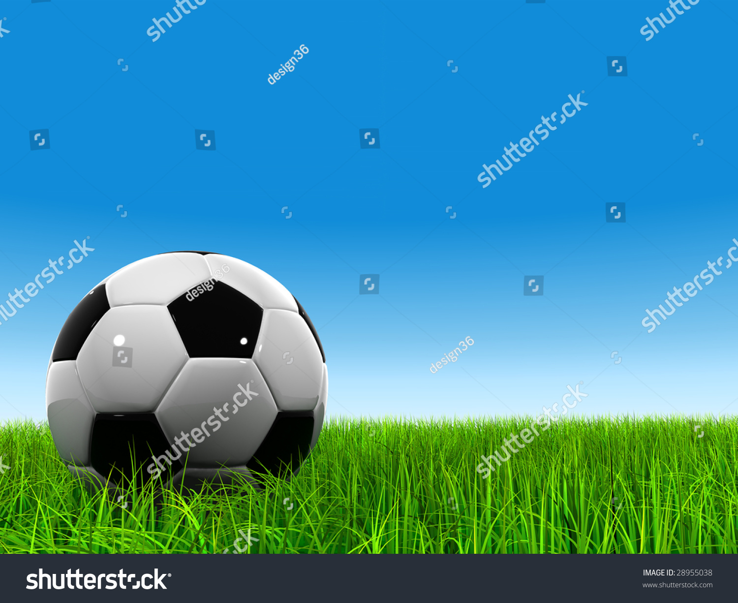 3d Leather Black And White Soccer Ball On Green Grass Over A Natural ...