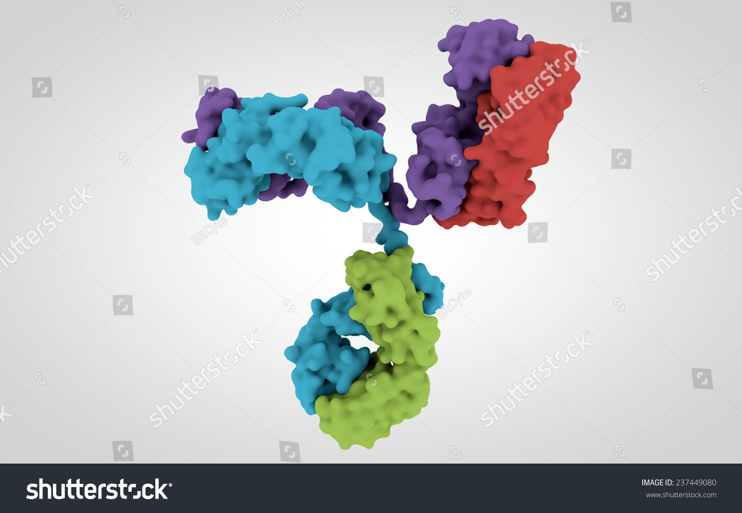 3d Model Of Antibody Stock Photo 237449080 : Shutterstock