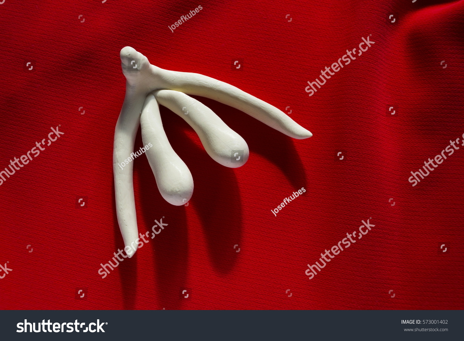 3d Printed Female Sex Organ Clitoris Photo De Stock Modifiable