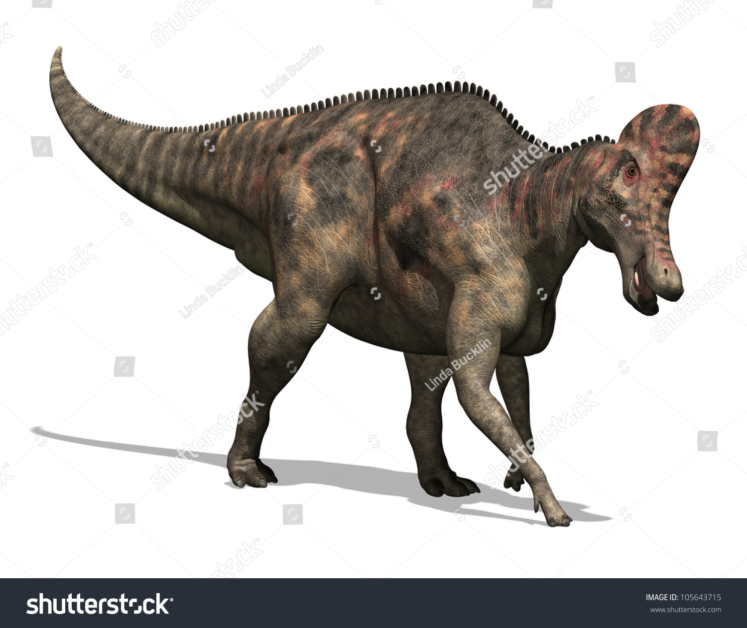 corythosaurus dinosaur with crest on head