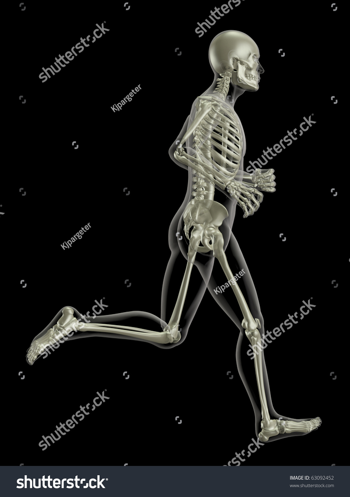 3d Render Of A Medical Skeleton In A Running Pose Stock Photo 63092452 ...