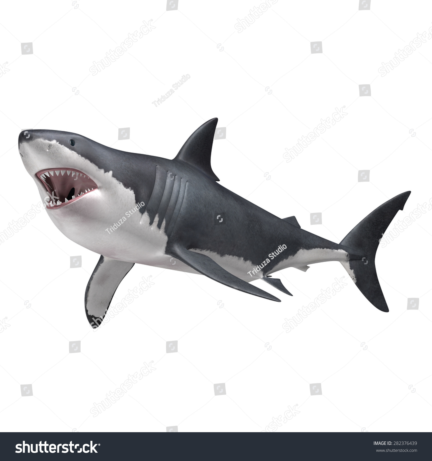 3d Rendered Carcharodon Carcharias Great White Stock Illustration ...