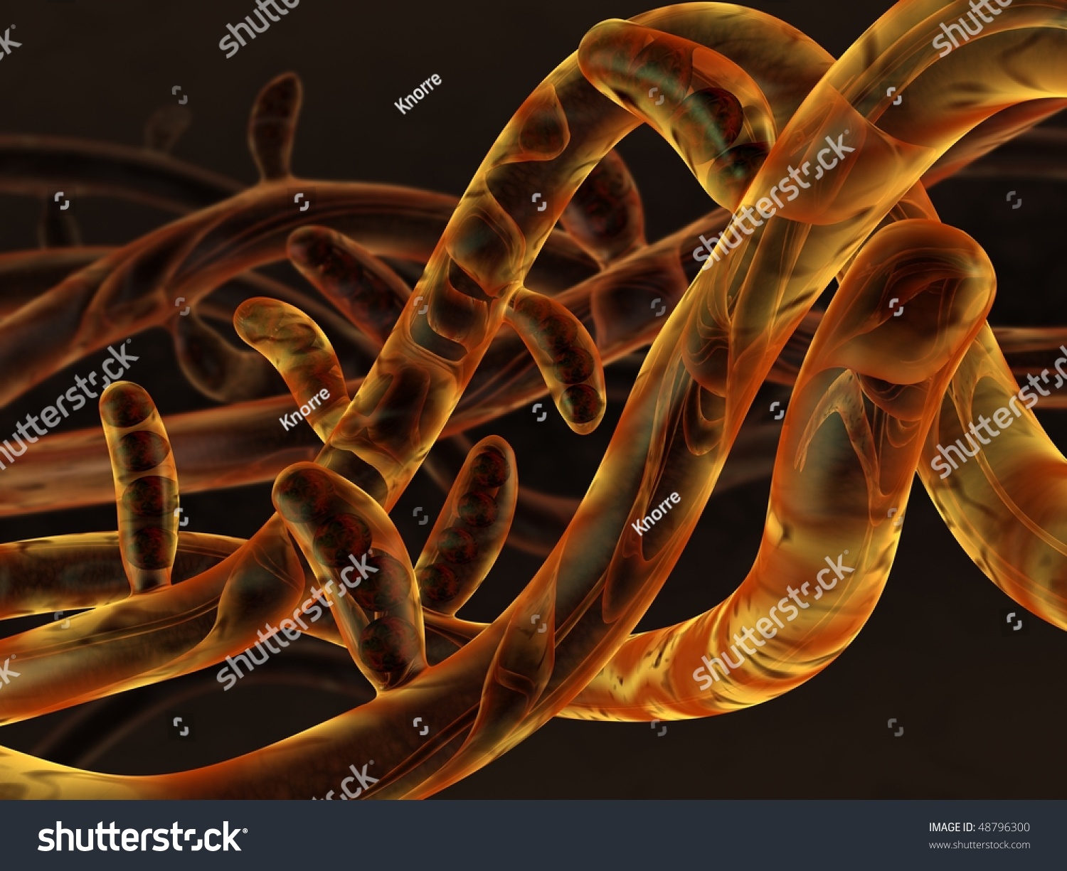 3d Rendered Fungi Micelium With Spores Stock Photo 48796300 : Shutterstock