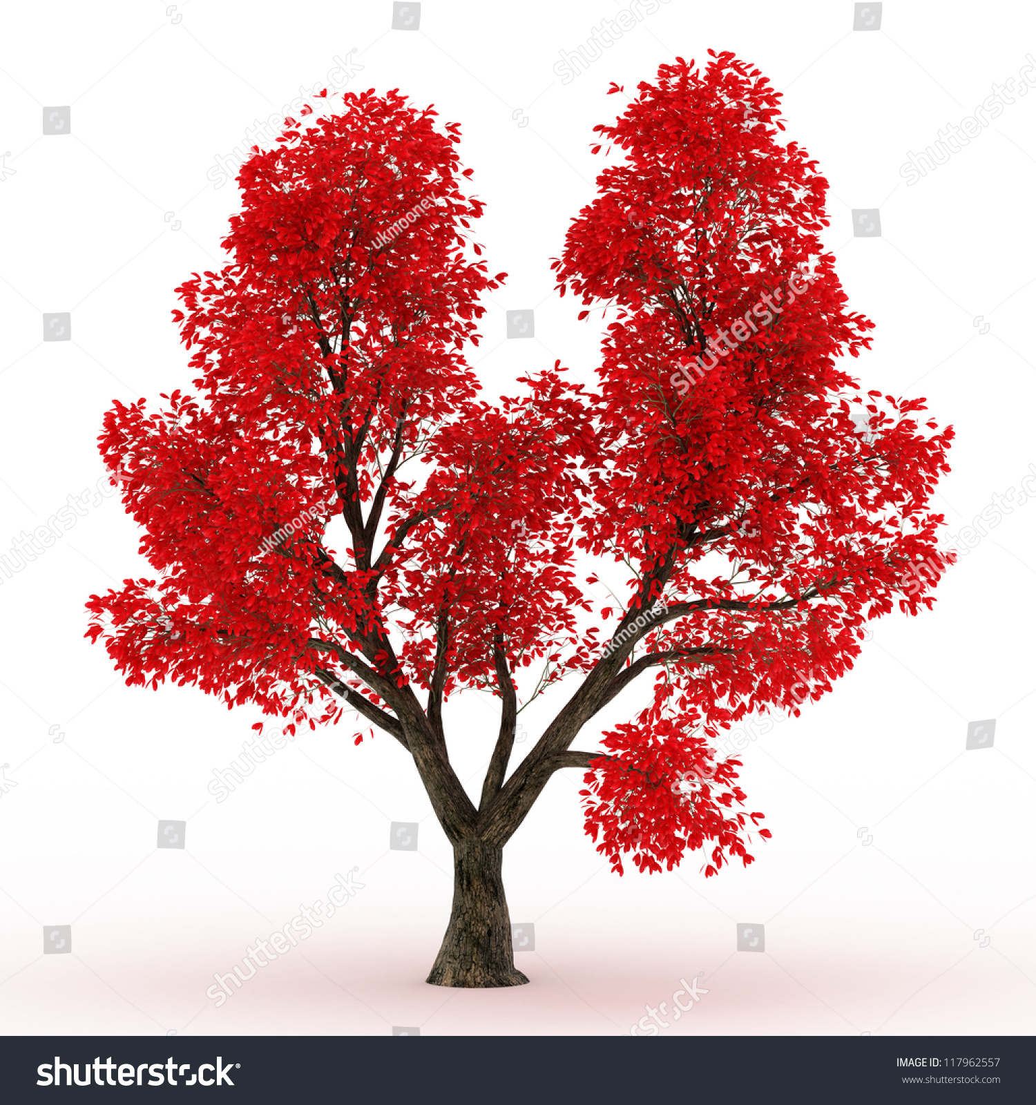 3 D Rendered Maple Tree Autumn Red Stock Illustration 117962557