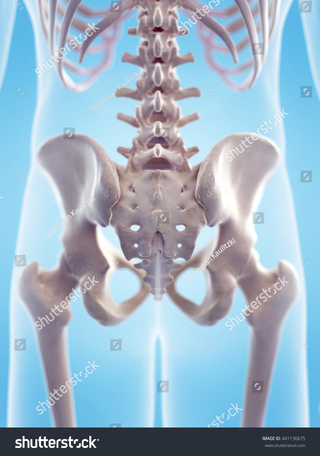 3d Rendered Medically Accurate 3d Illustration Stock Illustration 441136675