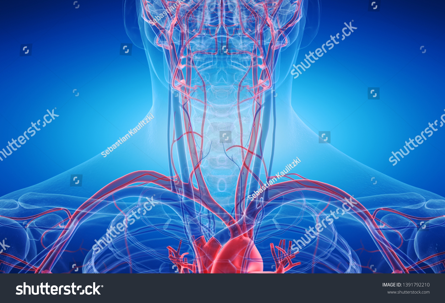 3d Rendered Medically Accurate Illustration Blood Stock Illustration ...