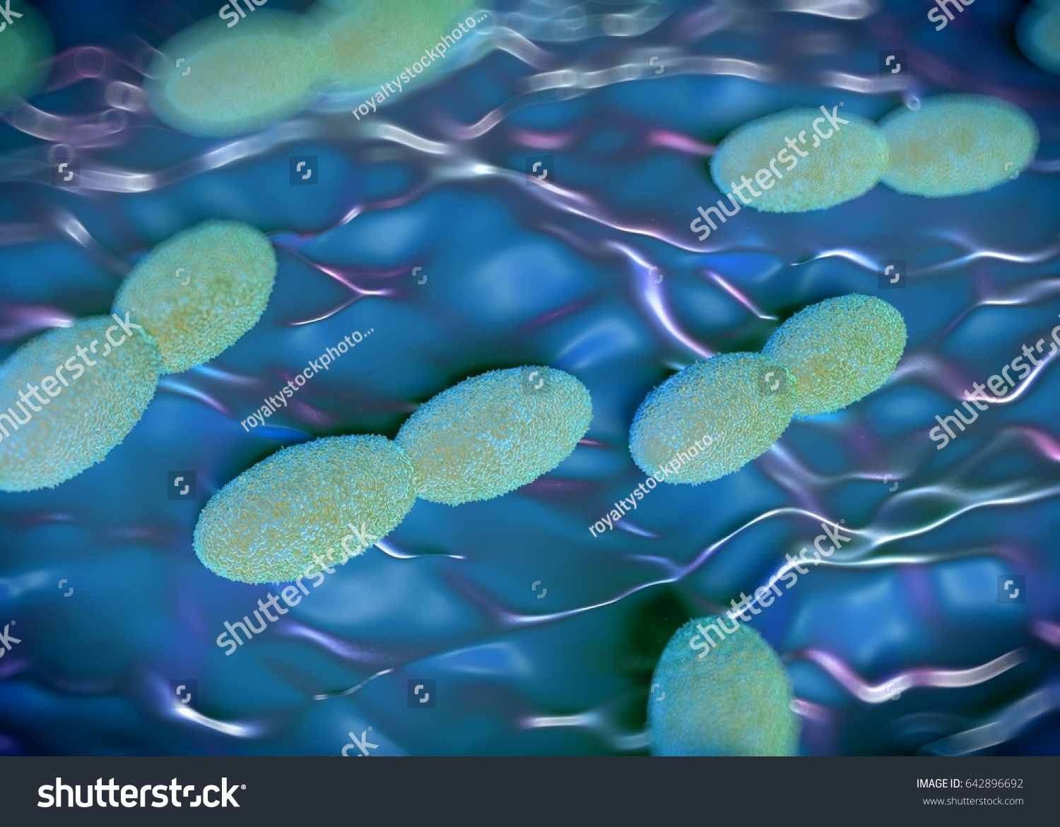 3d Rendering Acetobacter Bacteria Stock Illustration 642896692