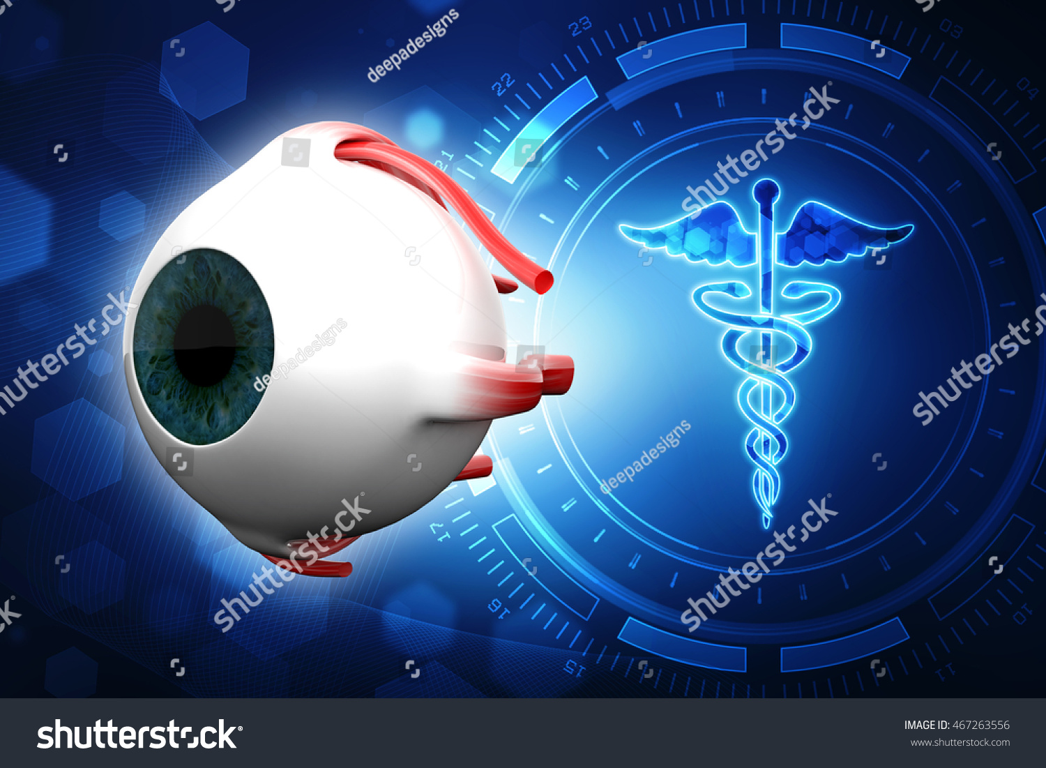 3d Rendering Human Eye Dissection Anatomy Stock Illustration 467263556 ...