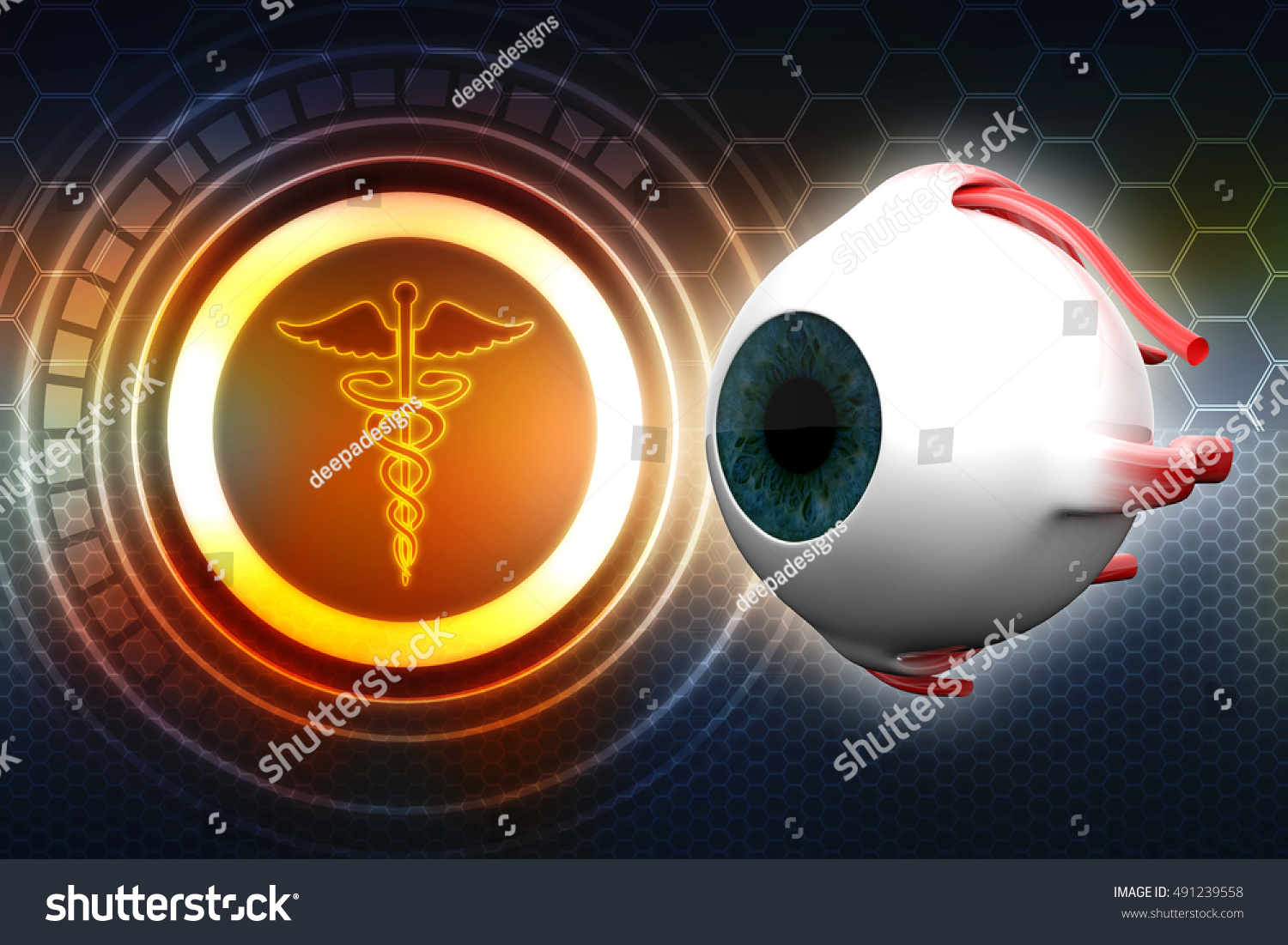 3d Rendering Human Eye Dissection Anatomy Stock Illustration 491239558