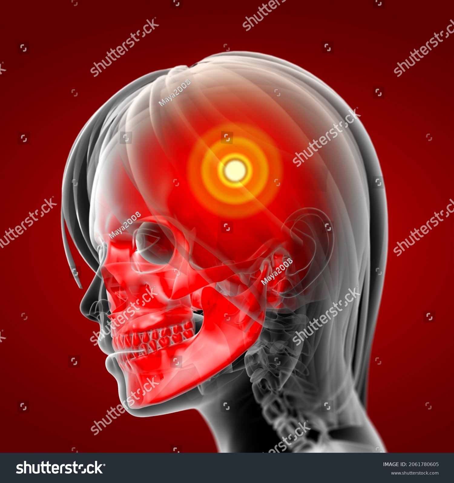 3d Rendering Illustration Female Skull Bone Stock Illustration 2061780605