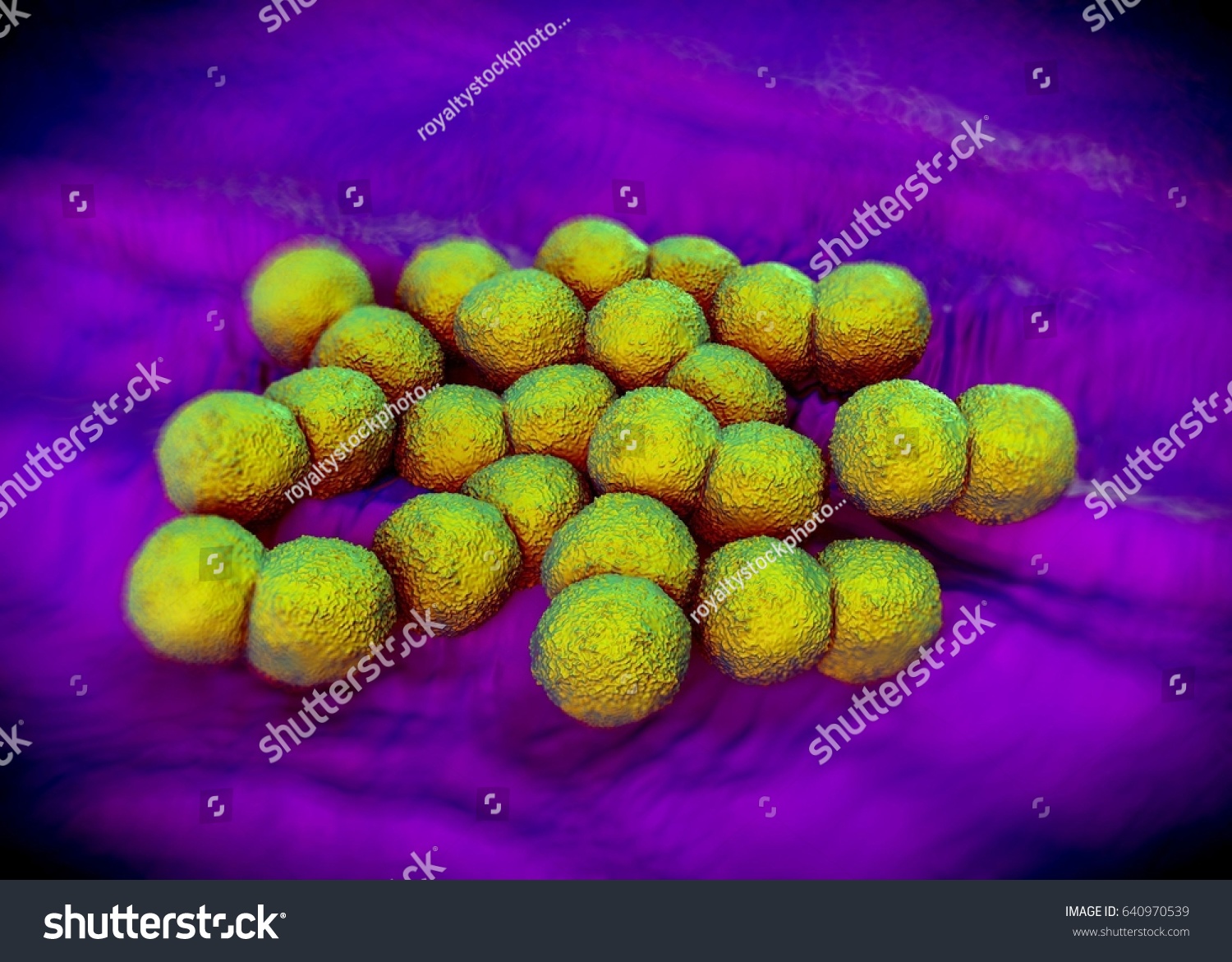 3d Rendering Neisseria Gonorrhoeae Bacteria Stock Illustration 640970539 8795