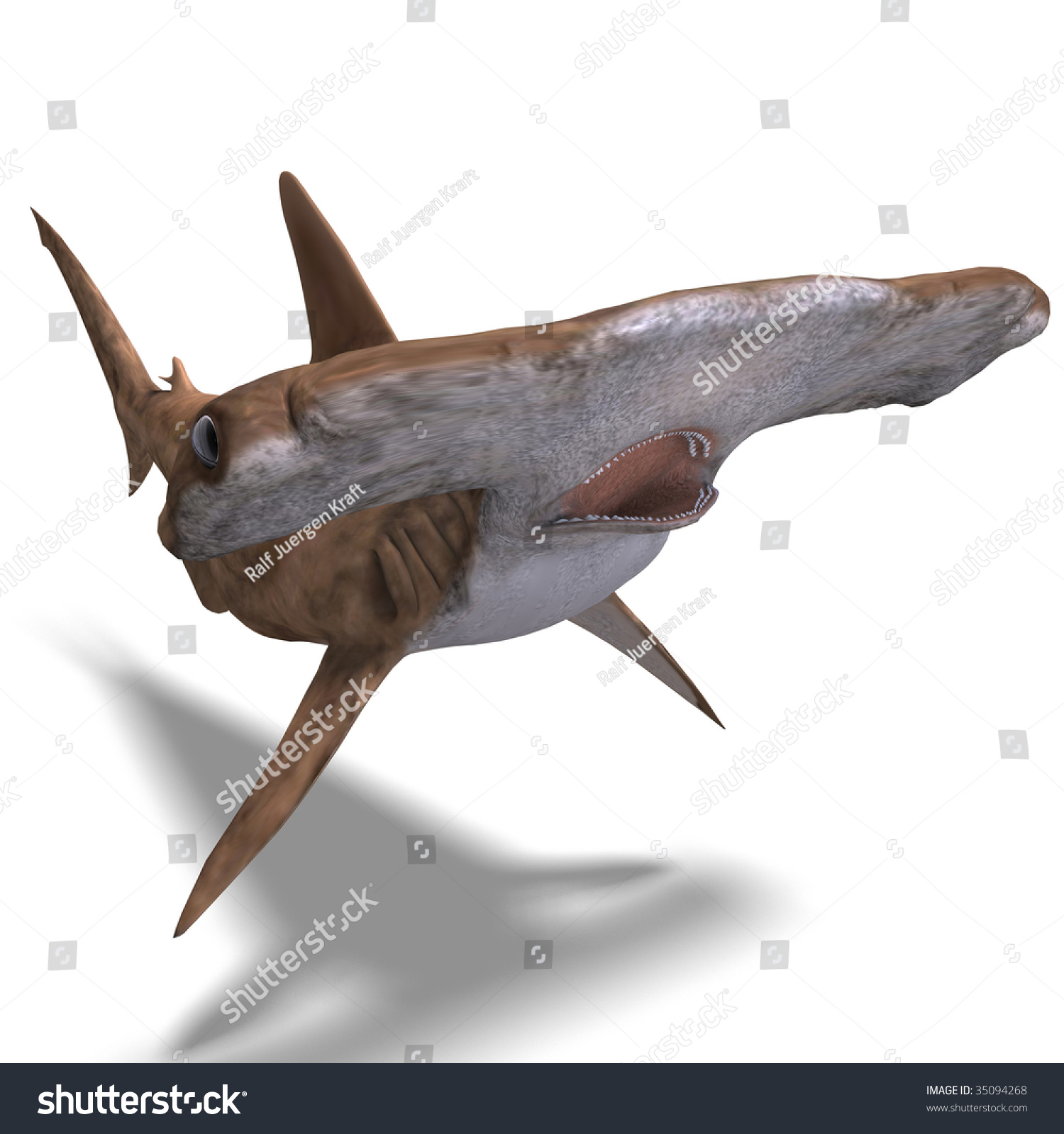 3d Rendering Of A Hammerhead Shark With Clipping Path And Shadow Over ...