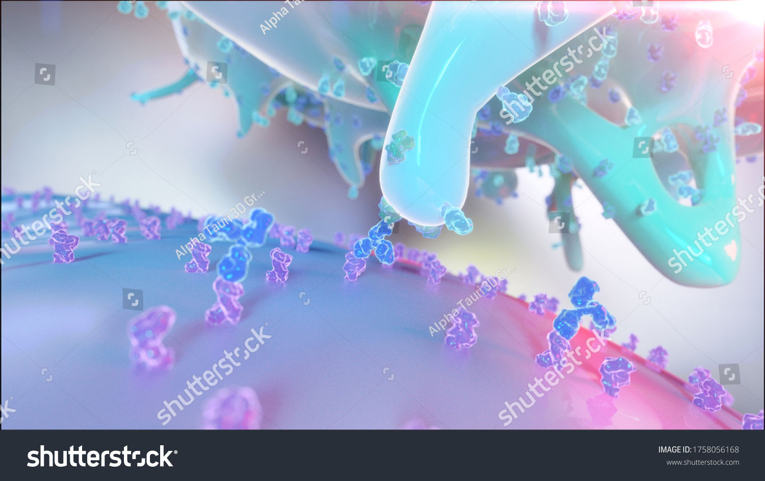 3d Rendering Natural Killer Cell Nk Stock Illustration 1758056168 ...