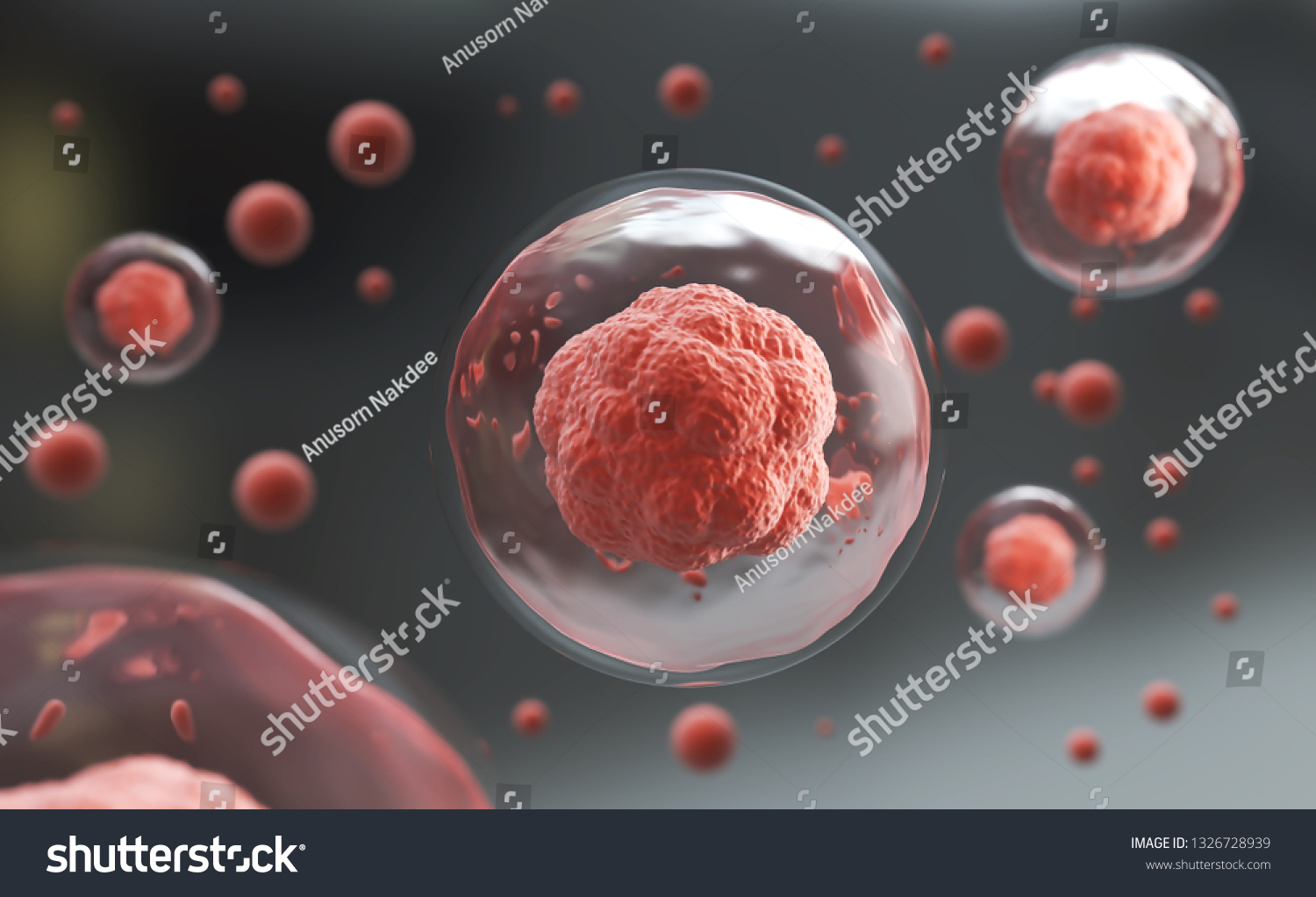 3d Rendering Human Cell Embryonic Stem Stock Illustration 1326728939 ...