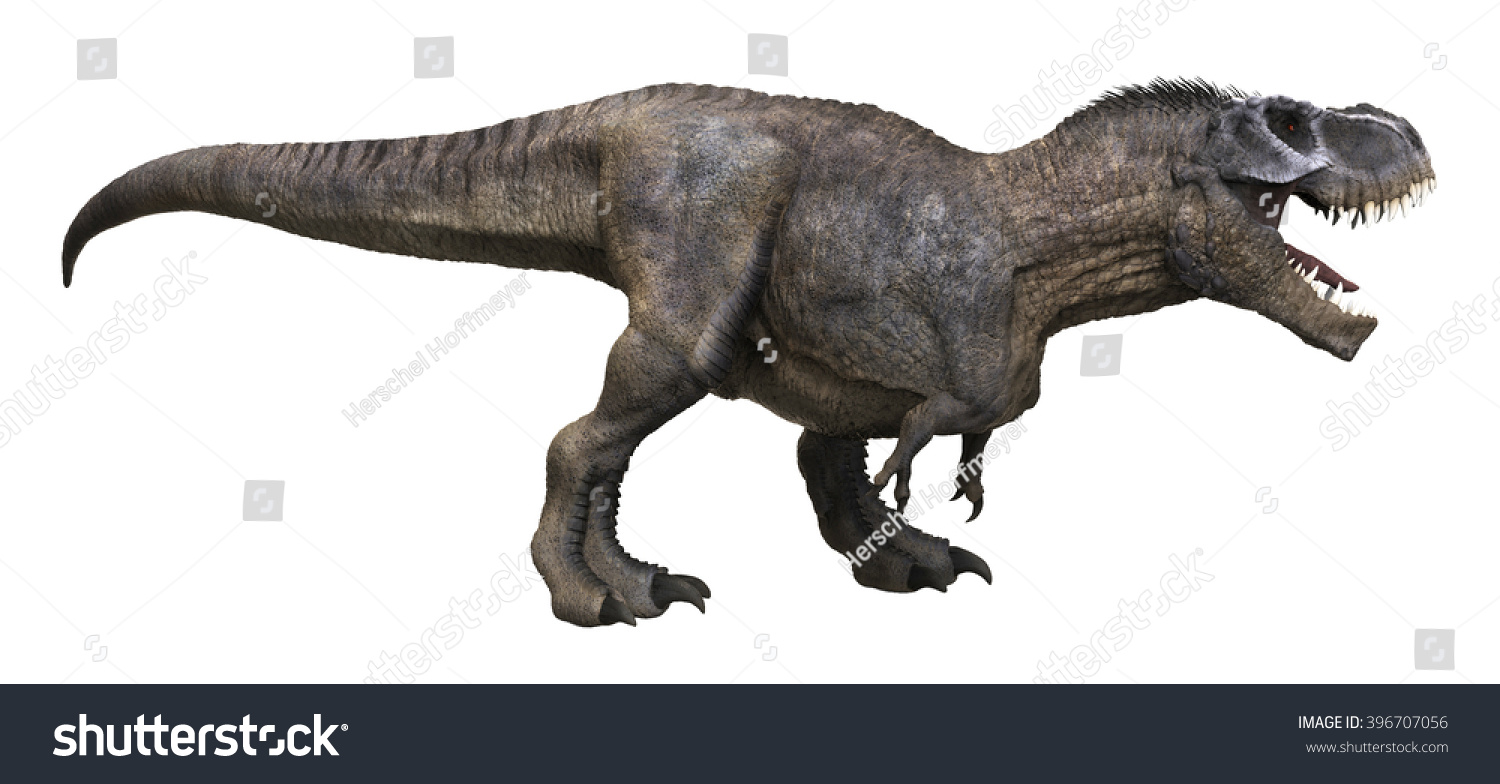 t rex rendering