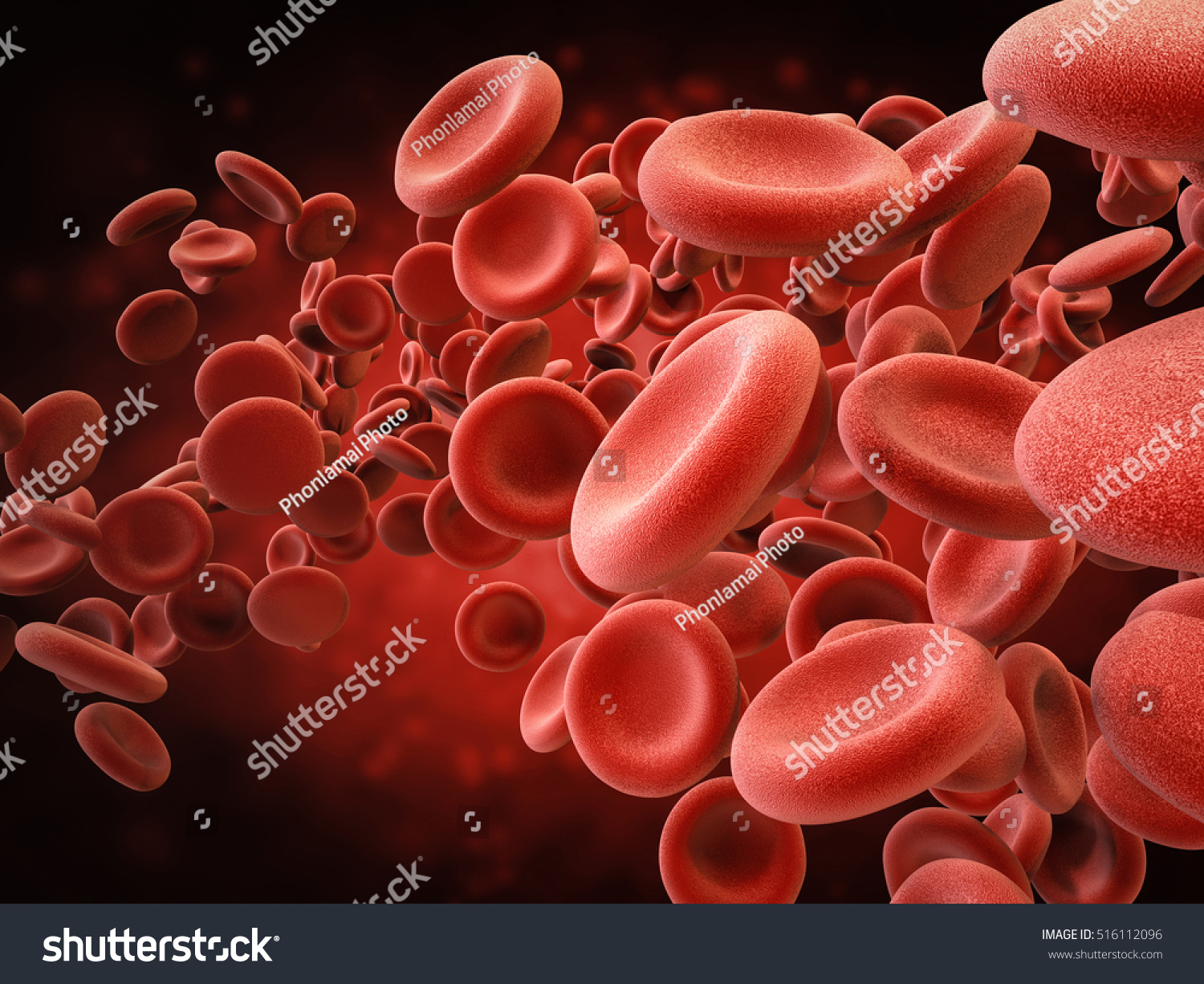 3d Rendering Red Blood Cells In Vein Stock Photo 516112096 : Shutterstock