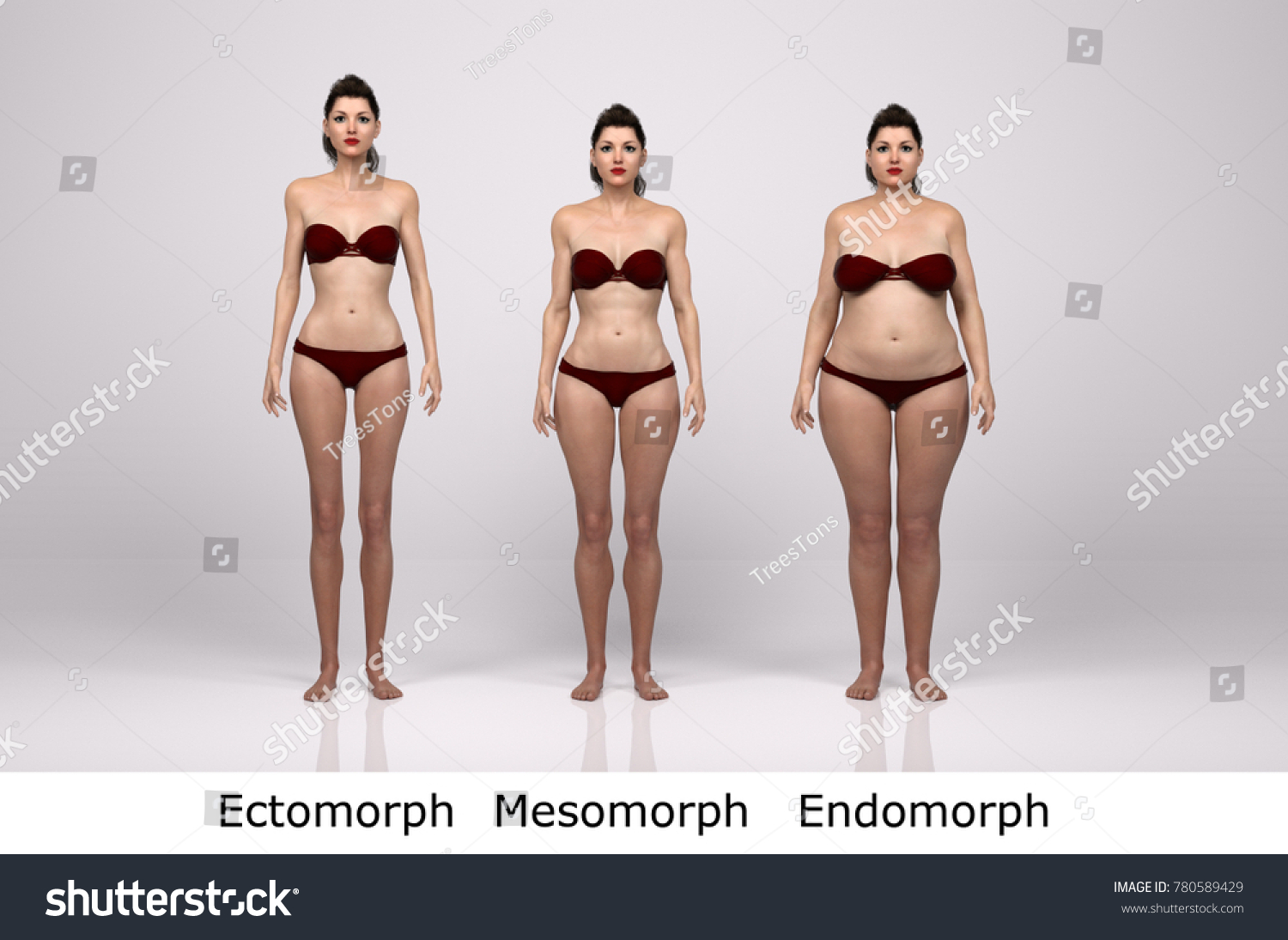 Suchen Sie Nach 3d Rendering Stehende Weibliche Korpergrafik Ektomorph Mager Stockbildern In Hd Und Millionen Weiteren Lizenzfreien Stockfotos Illustrationen Und Vektorgrafiken In Der Shutterstock Kollektion Jeden Tag Werden Tausende Neue