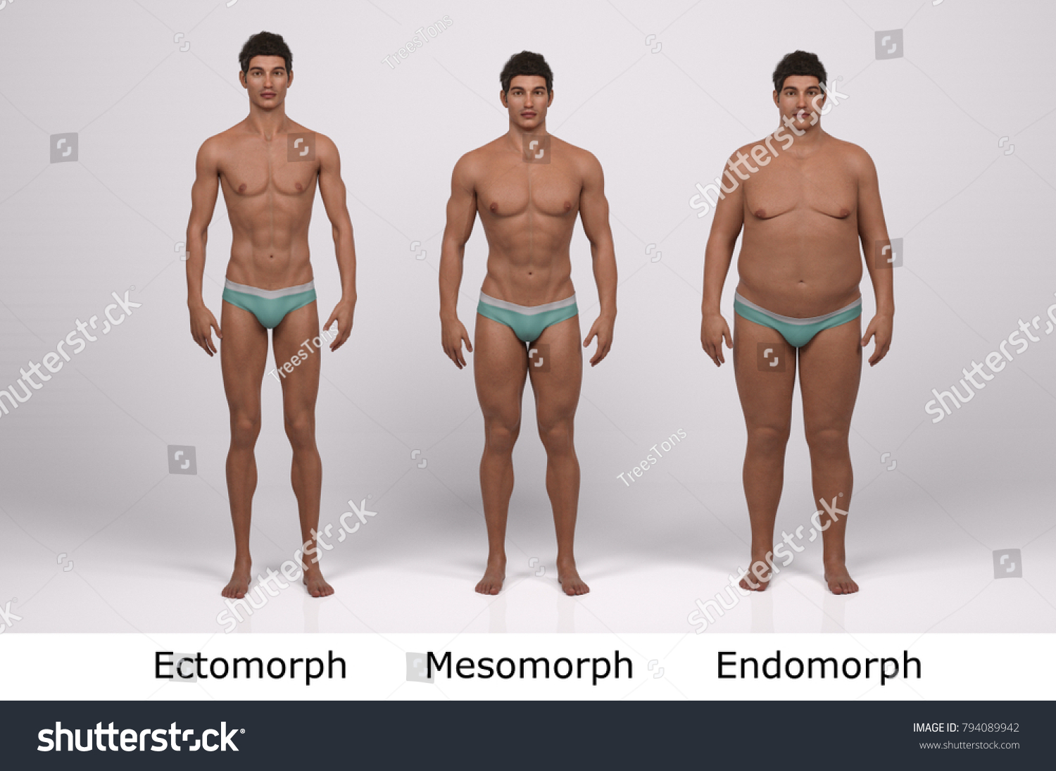How to get the body of a male model