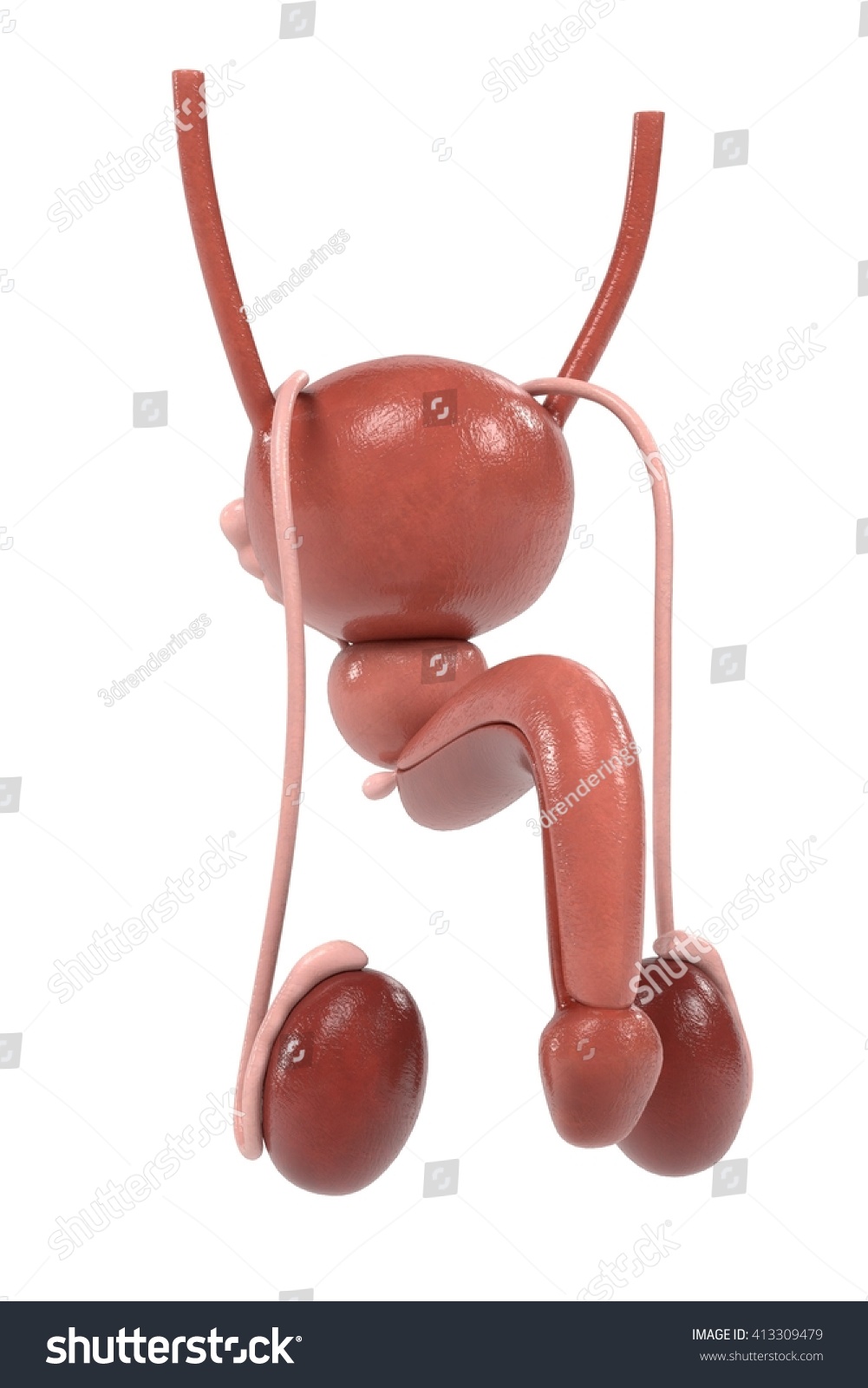 Ilustrasi Stok D Renderings Male Reproductive System Shutterstock