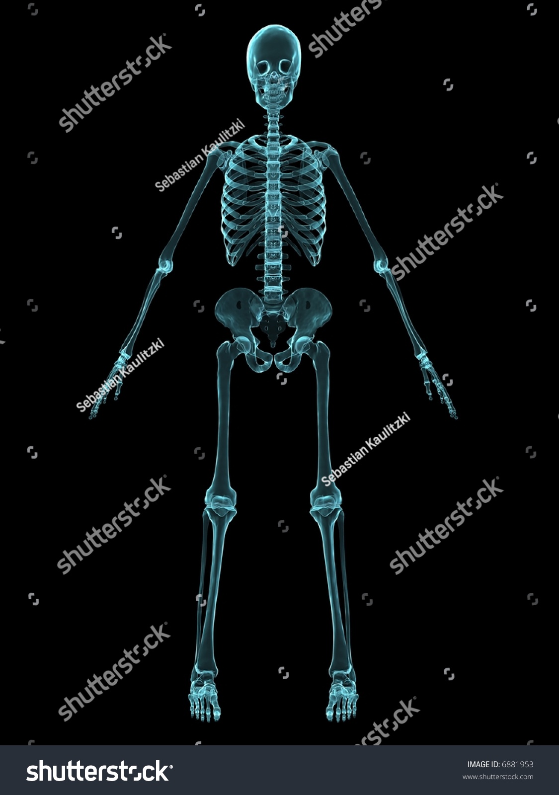 3d Skeleton Stock Illustration 6881953 - Shutterstock