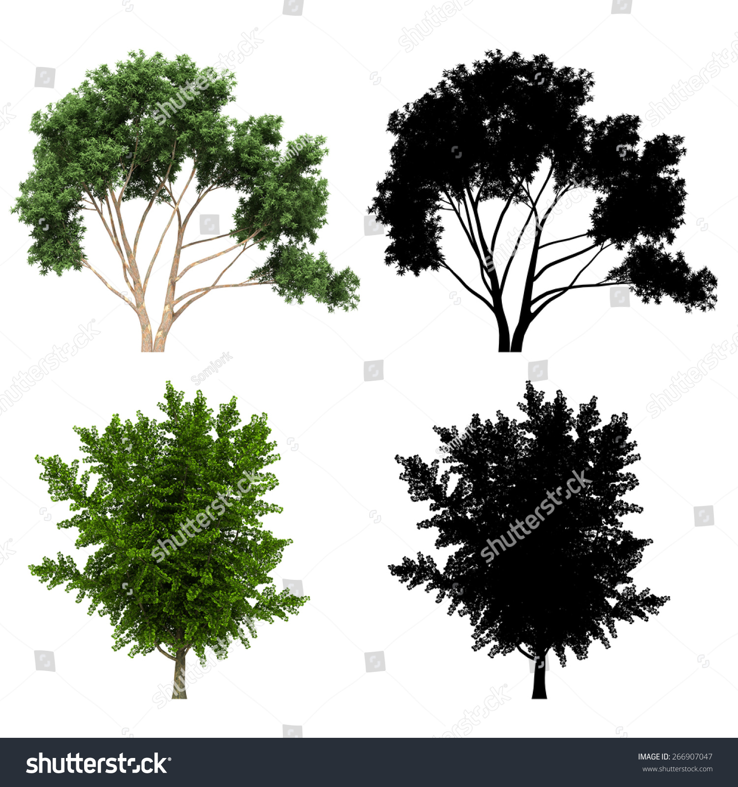 3d Tree Render On White Background写真素材266907047 | Shutterstock