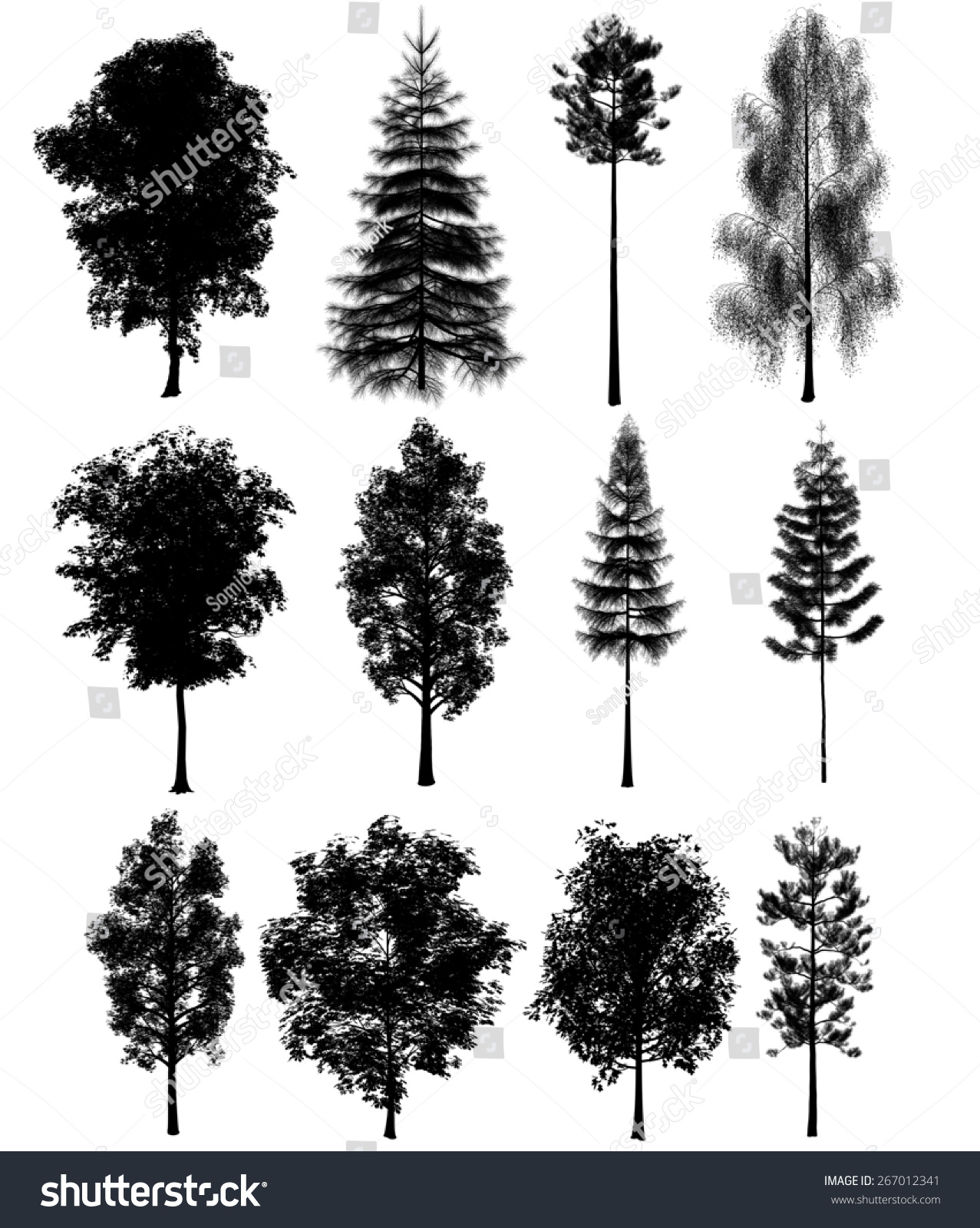 3d Tree Render On White Background Stock Photo (Edit Now) 267012341