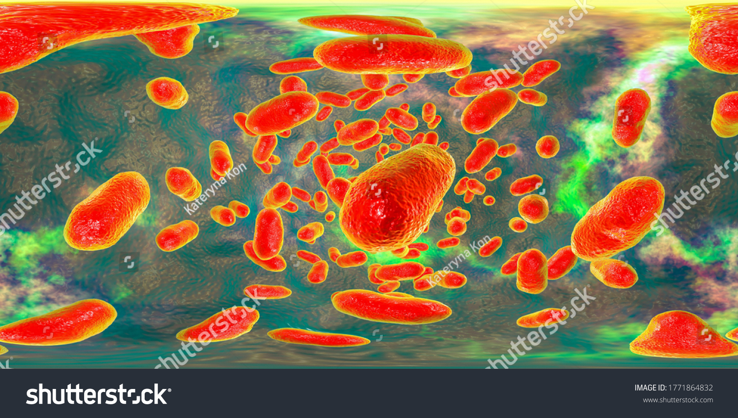 360 Degree Panorama View Porphyromonas Gingivalis Stock Illustration ...