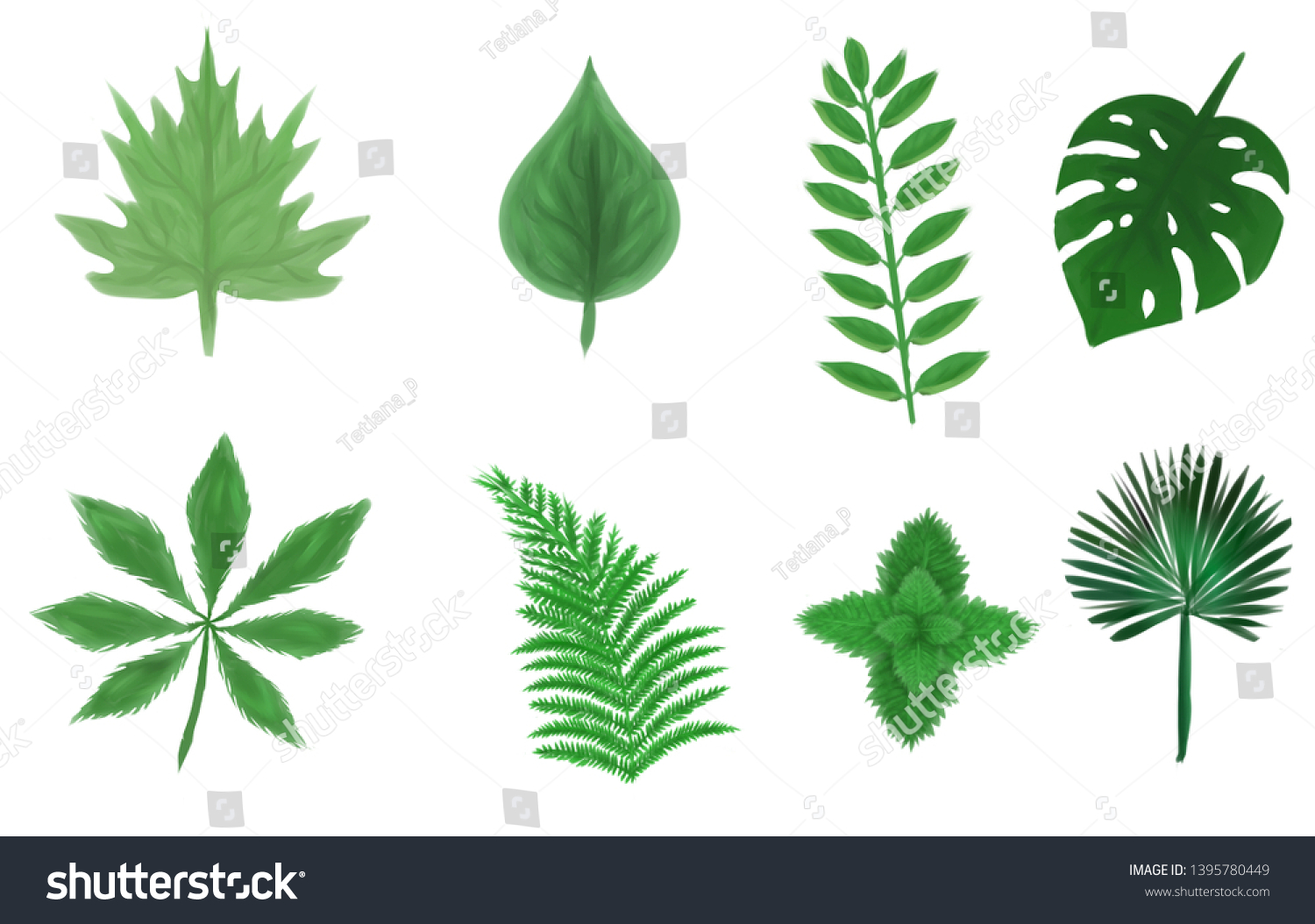 8-different-types-leaves-stock-illustration-1395780449-shutterstock