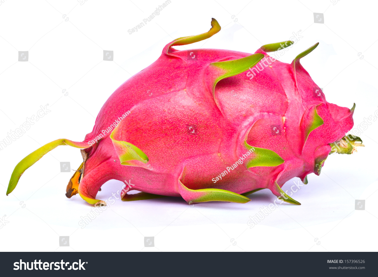 when is dragon fruit ripe fruit of the earth when is dragon fruit ripe fruit of the earth