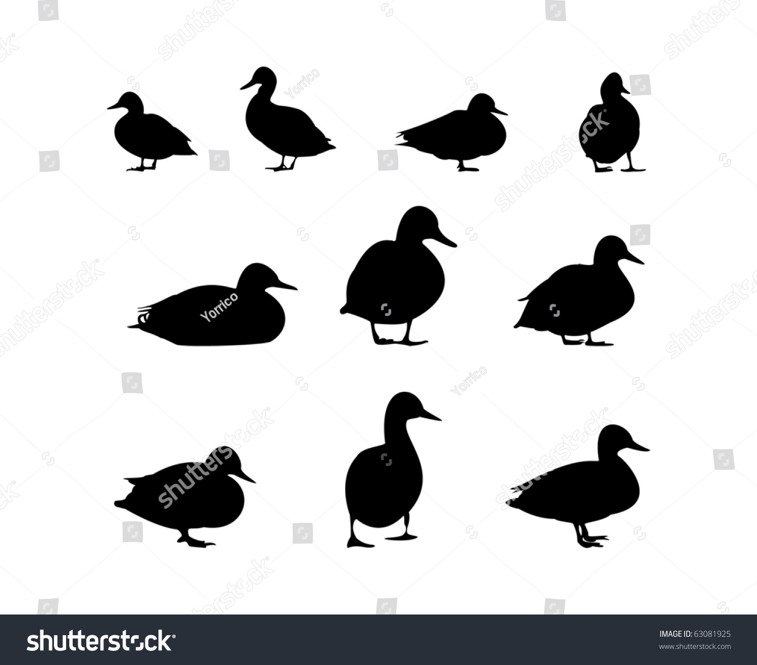 10 Duck Silhouette Stock Illustration 63081925 | Shutterstock