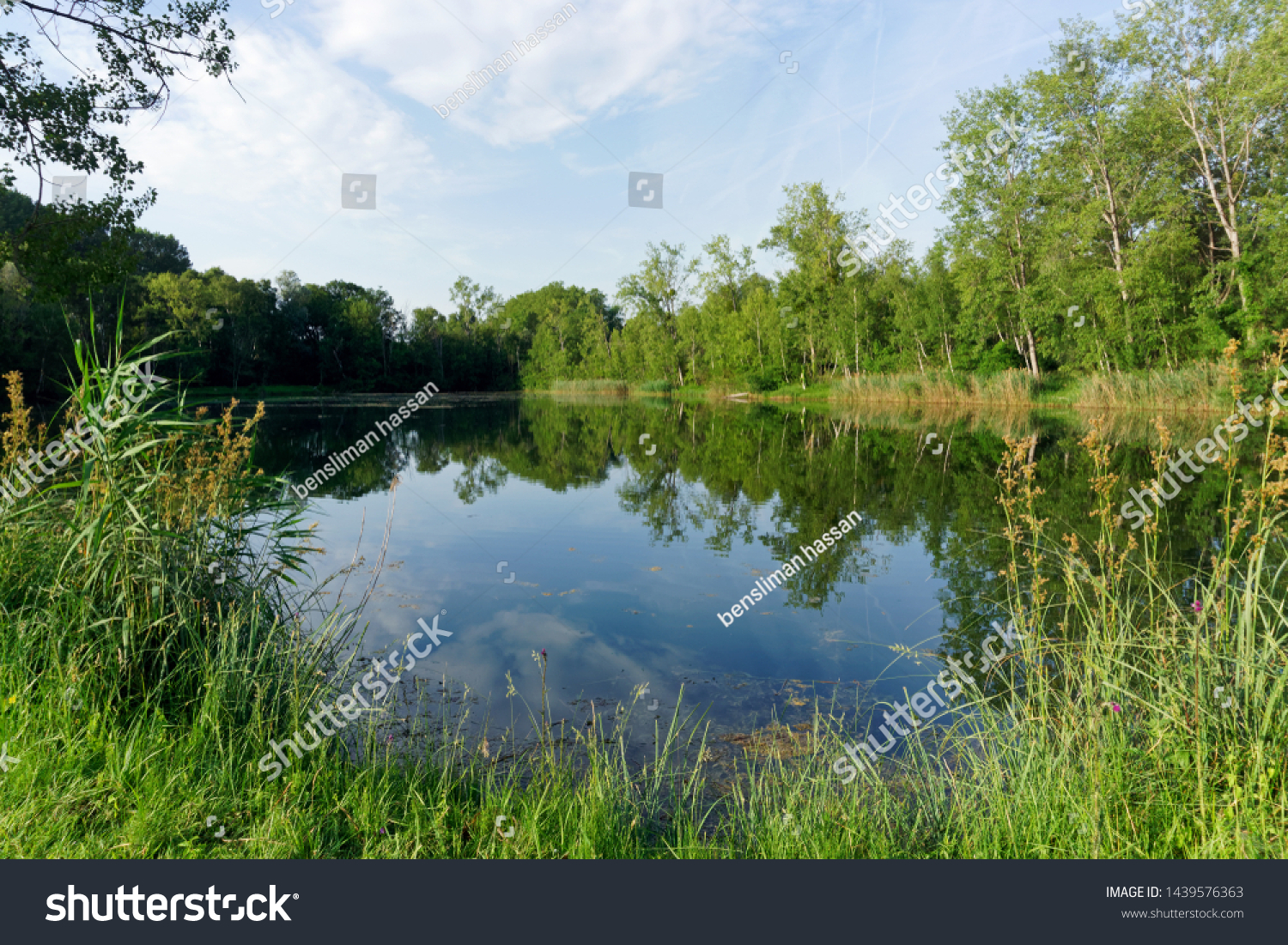 Fish Pond French Regional Nature Park Stock Photo Edit Now 1439576363