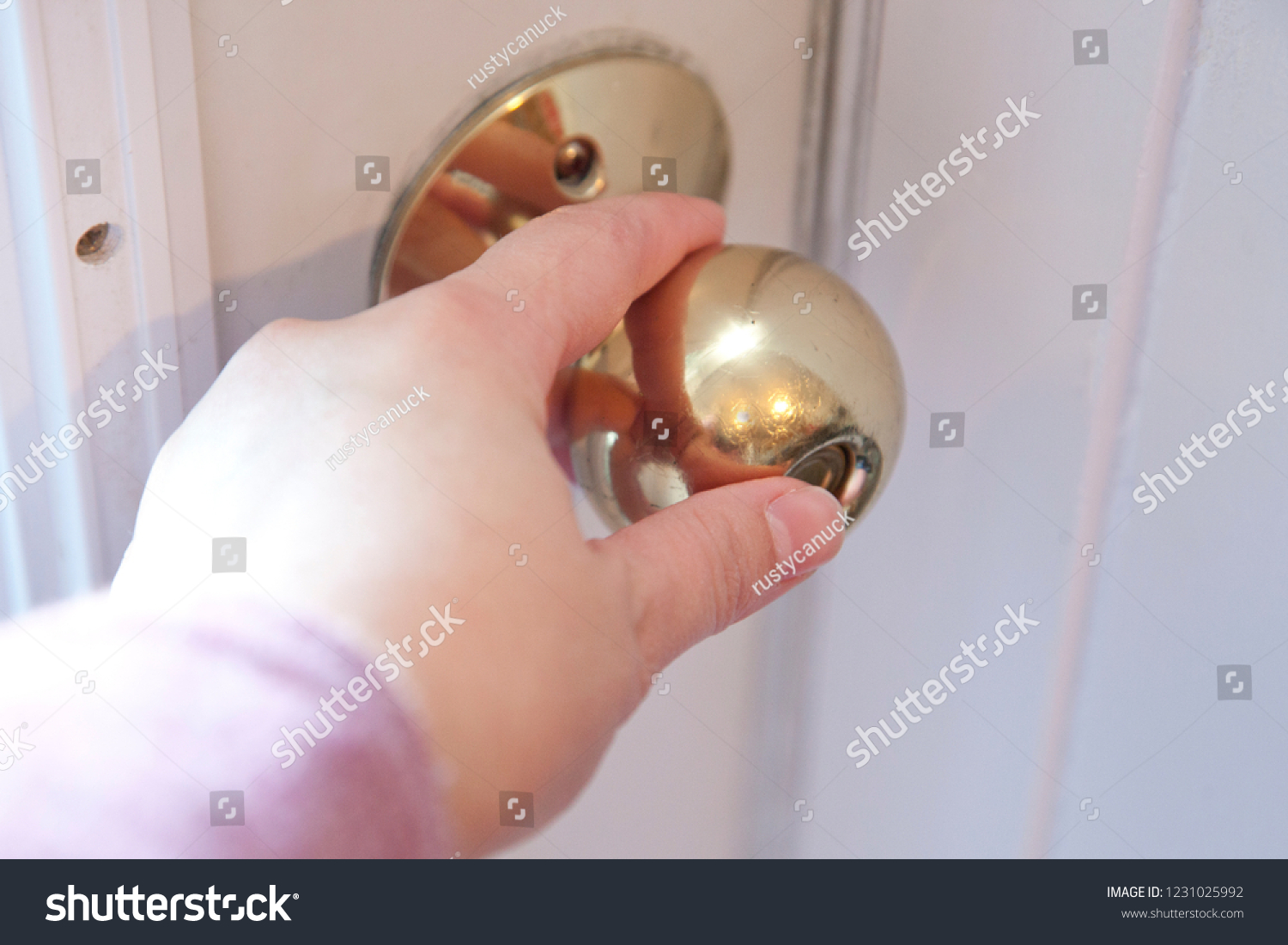 gold door handle with lock