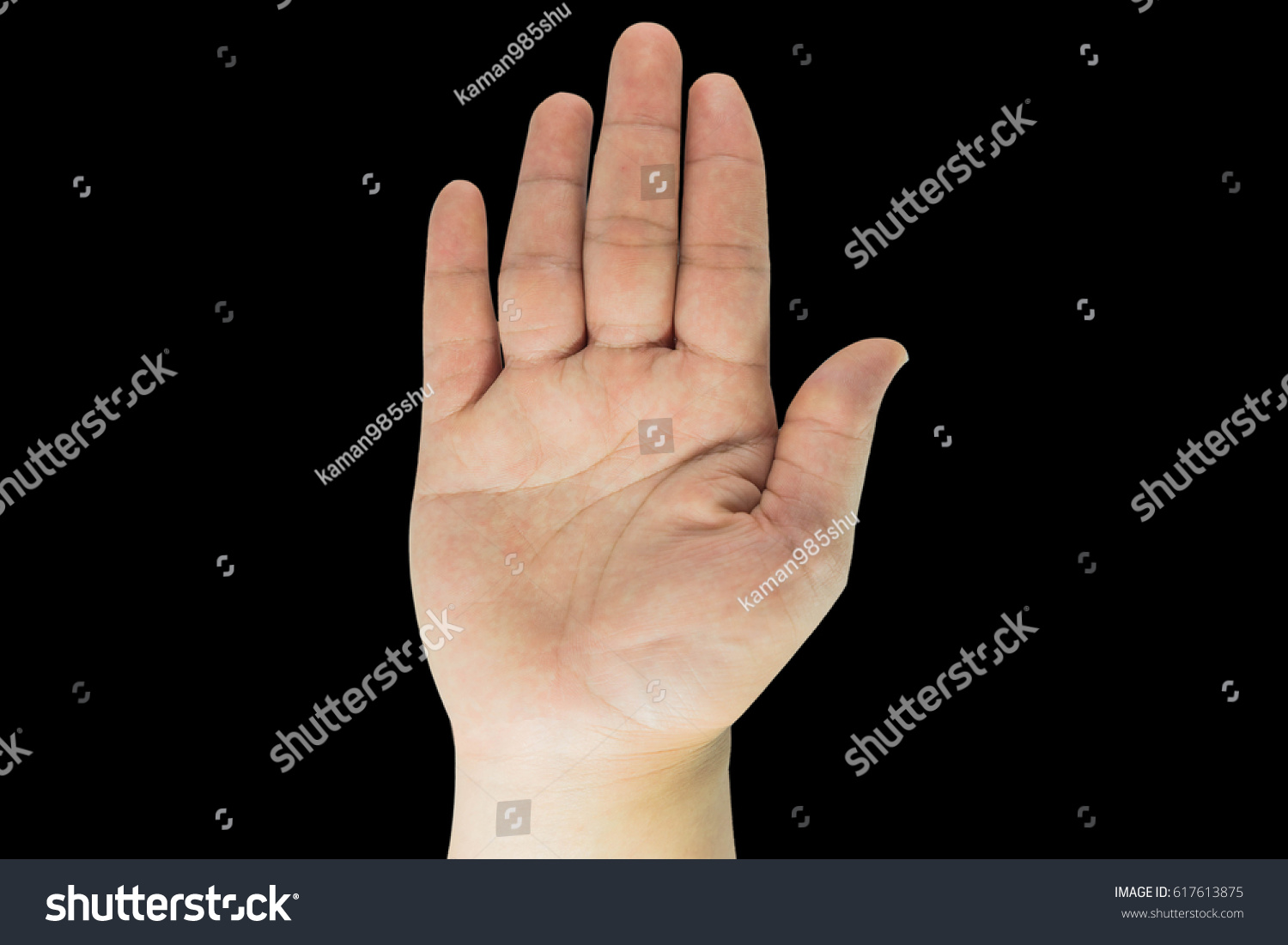 Hands Vital Organs Our Human Body Stock Photo 617613875 