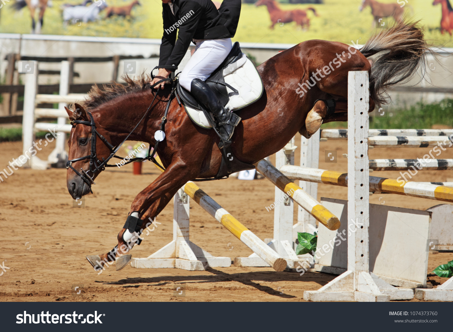 Horse Falling Jumping Tournament Over Between Stock Photo Edit Now 1074373760