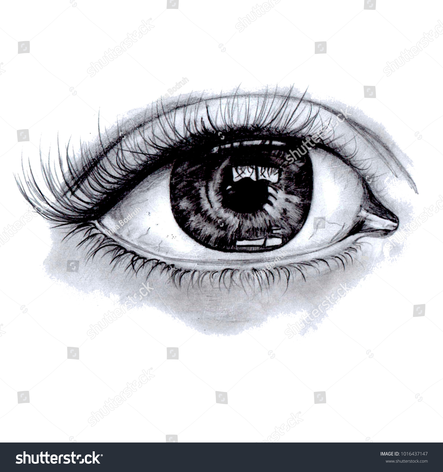 Human Eye Drawn Simple Pencil Stock Illustration 